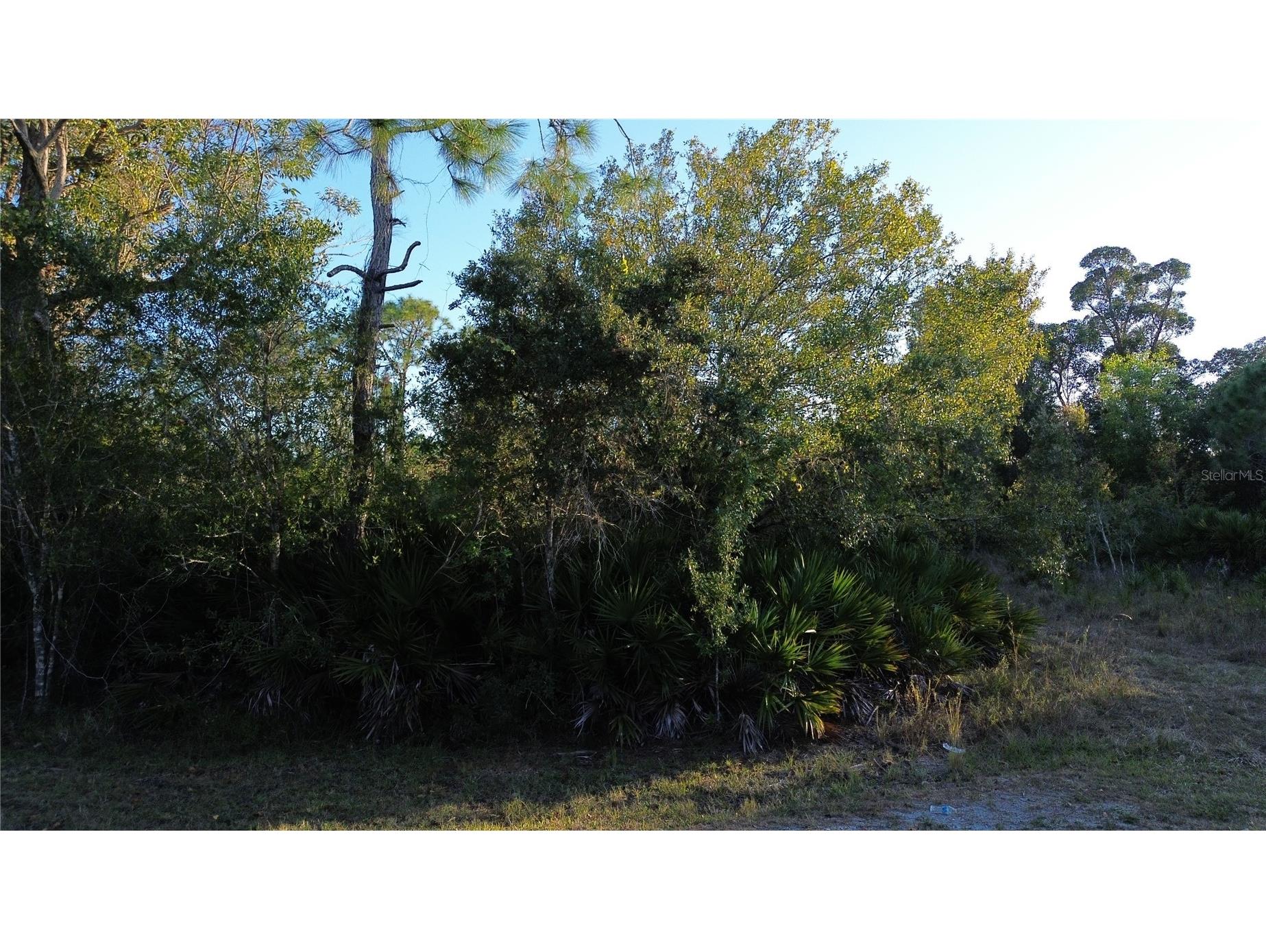 27481 Senator Drive Punta Gorda FL 33955 C7519421 image1