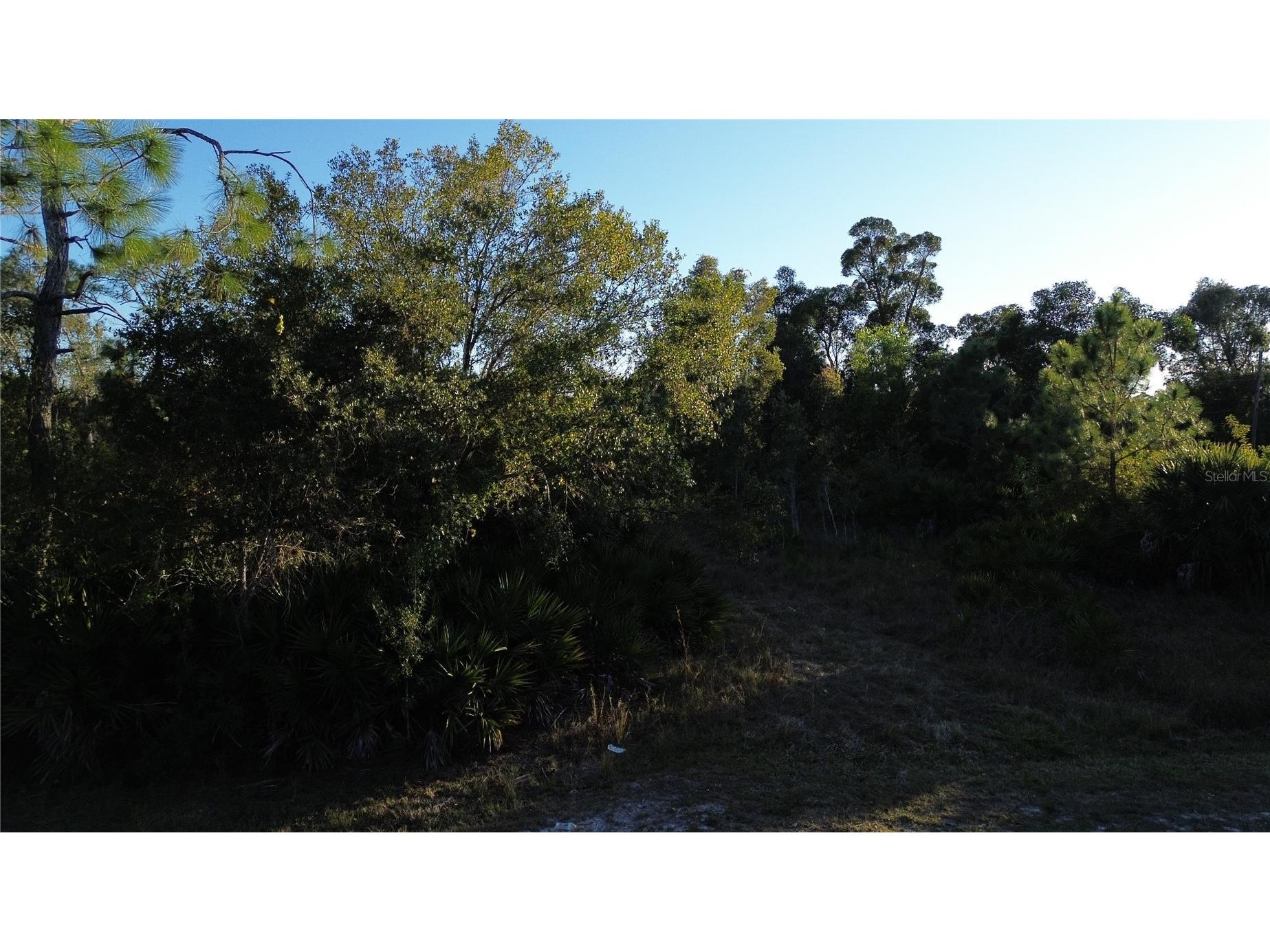 27481 Senator Drive Punta Gorda FL 33955 C7519421 image2