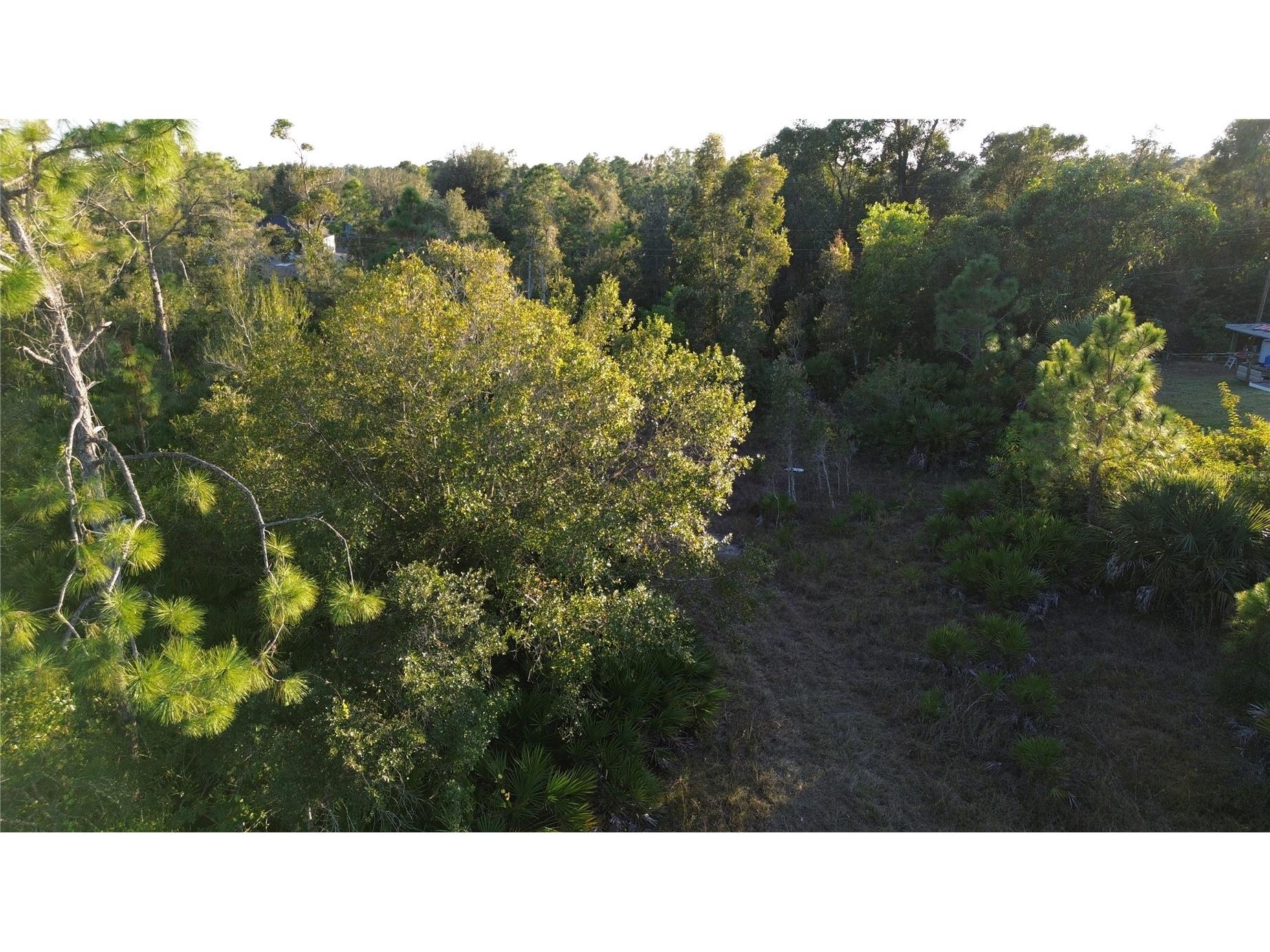 27481 Senator Drive Punta Gorda FL 33955 C7519421 image3