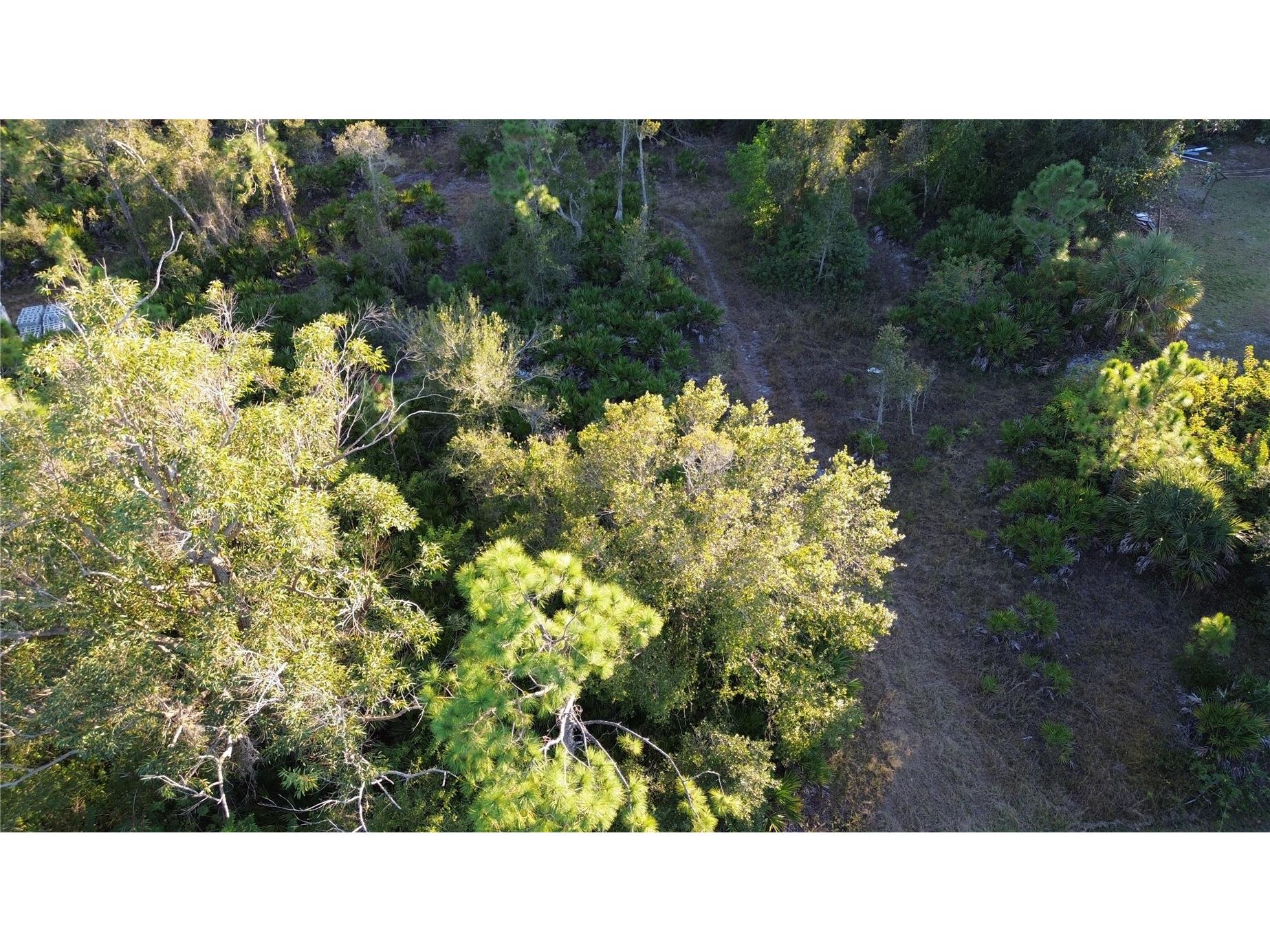 27481 Senator Drive Punta Gorda FL 33955 C7519421 image4