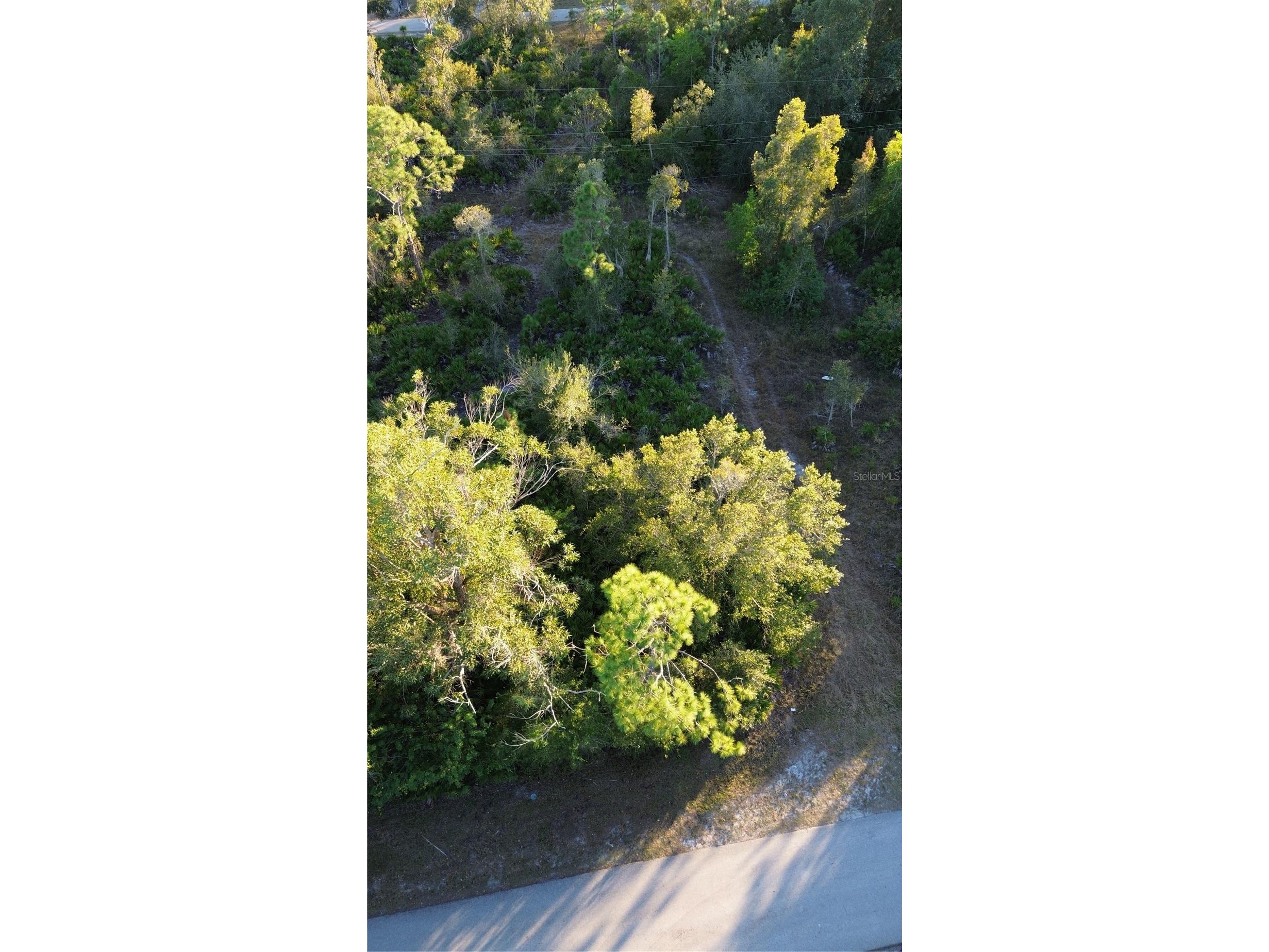 27481 Senator Drive Punta Gorda FL 33955 C7519421 image5