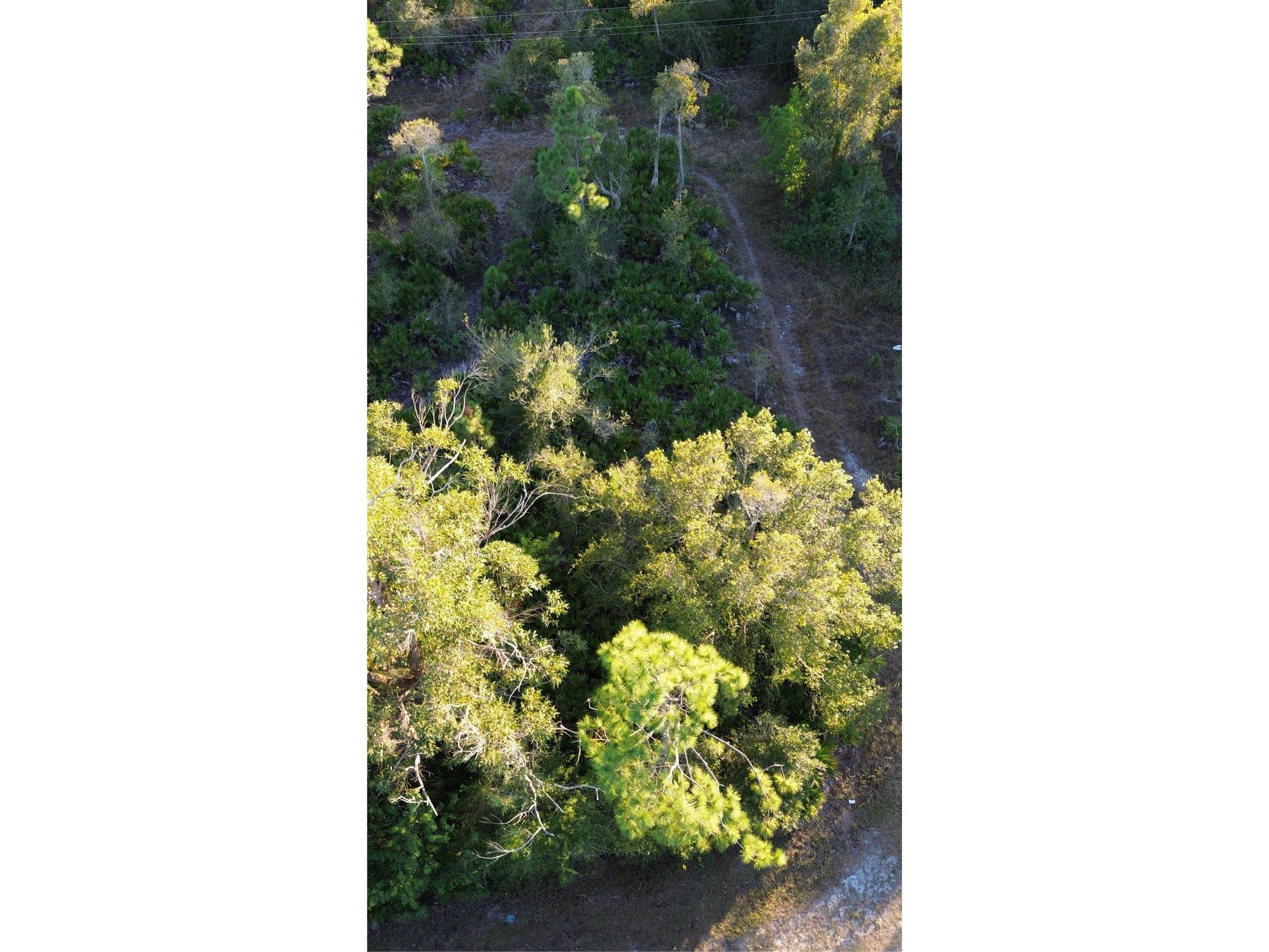 27481 Senator Drive Punta Gorda FL 33955 C7519421 image6