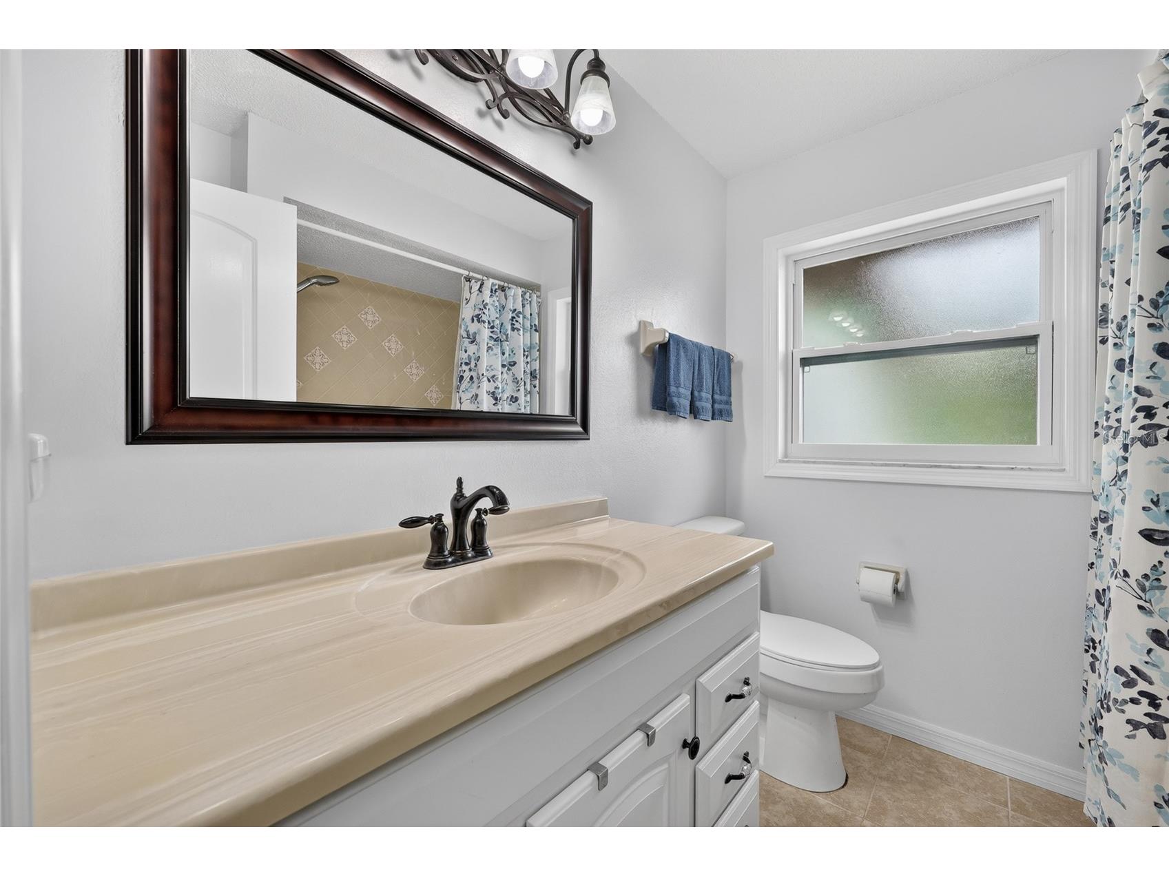 27484 S Twin Lakes Drive Punta Gorda FL 33955 C7526610 image18