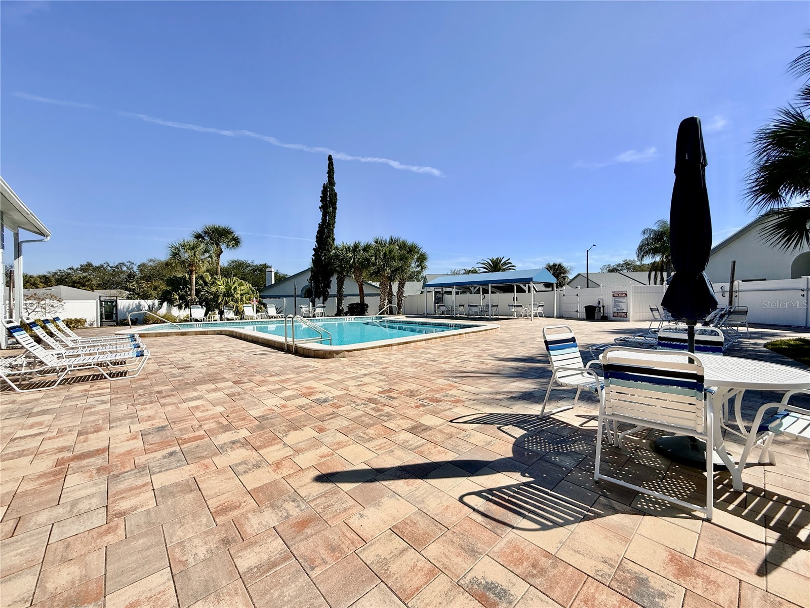 2749 Countryside Boulevard #22 Clearwater FL 33761 TB8472754 image38