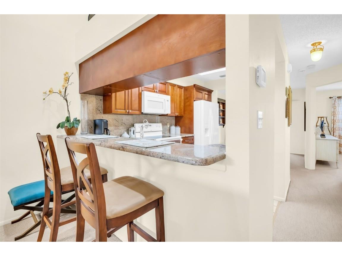 2749 Countryside Boulevard #28 Clearwater FL 33761 TB8427730 image11