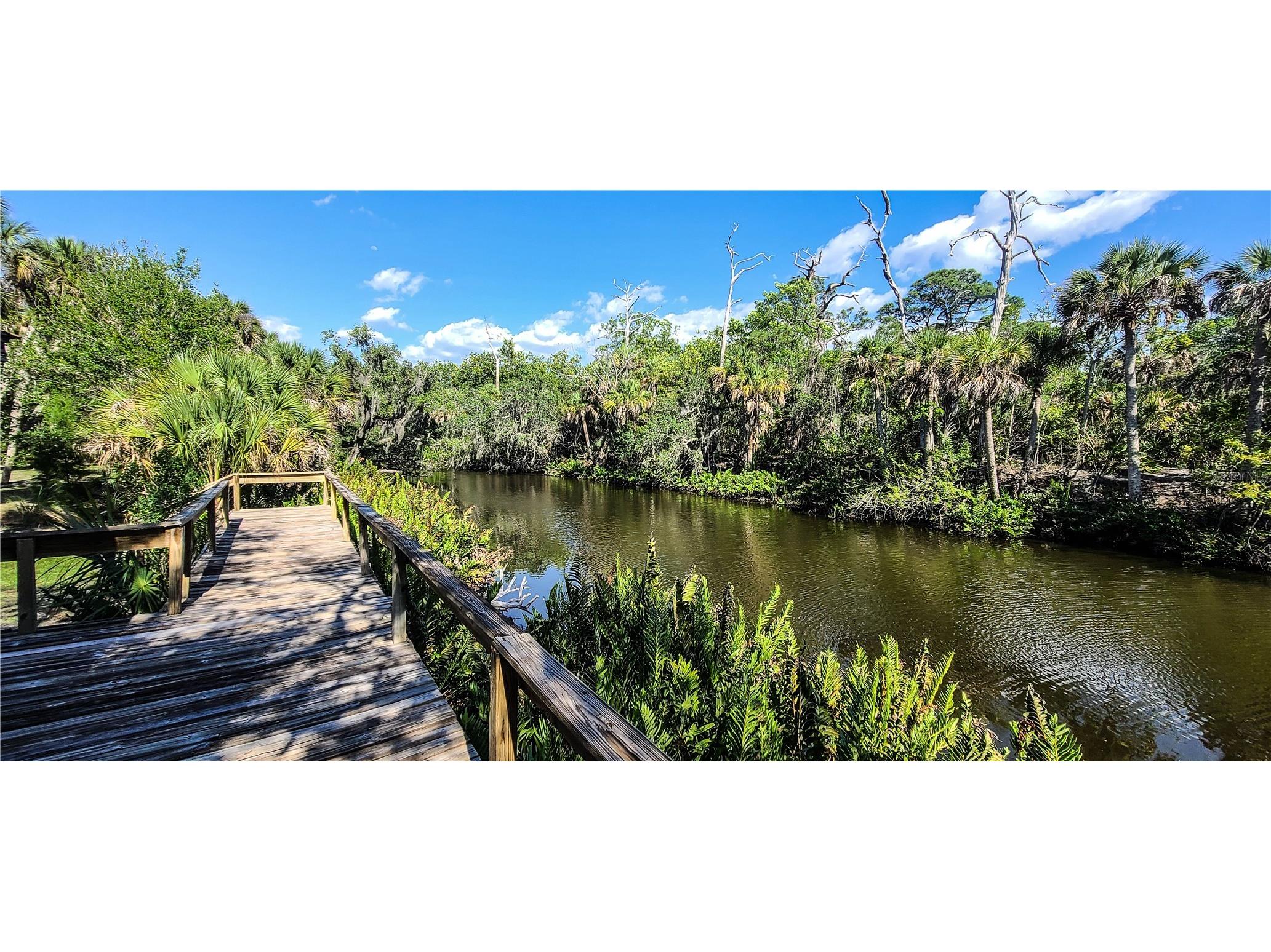 2749 Orchid Oaks Drive #302 Sarasota FL 34239 - PHILLIPPI CREEK A4690743 image39