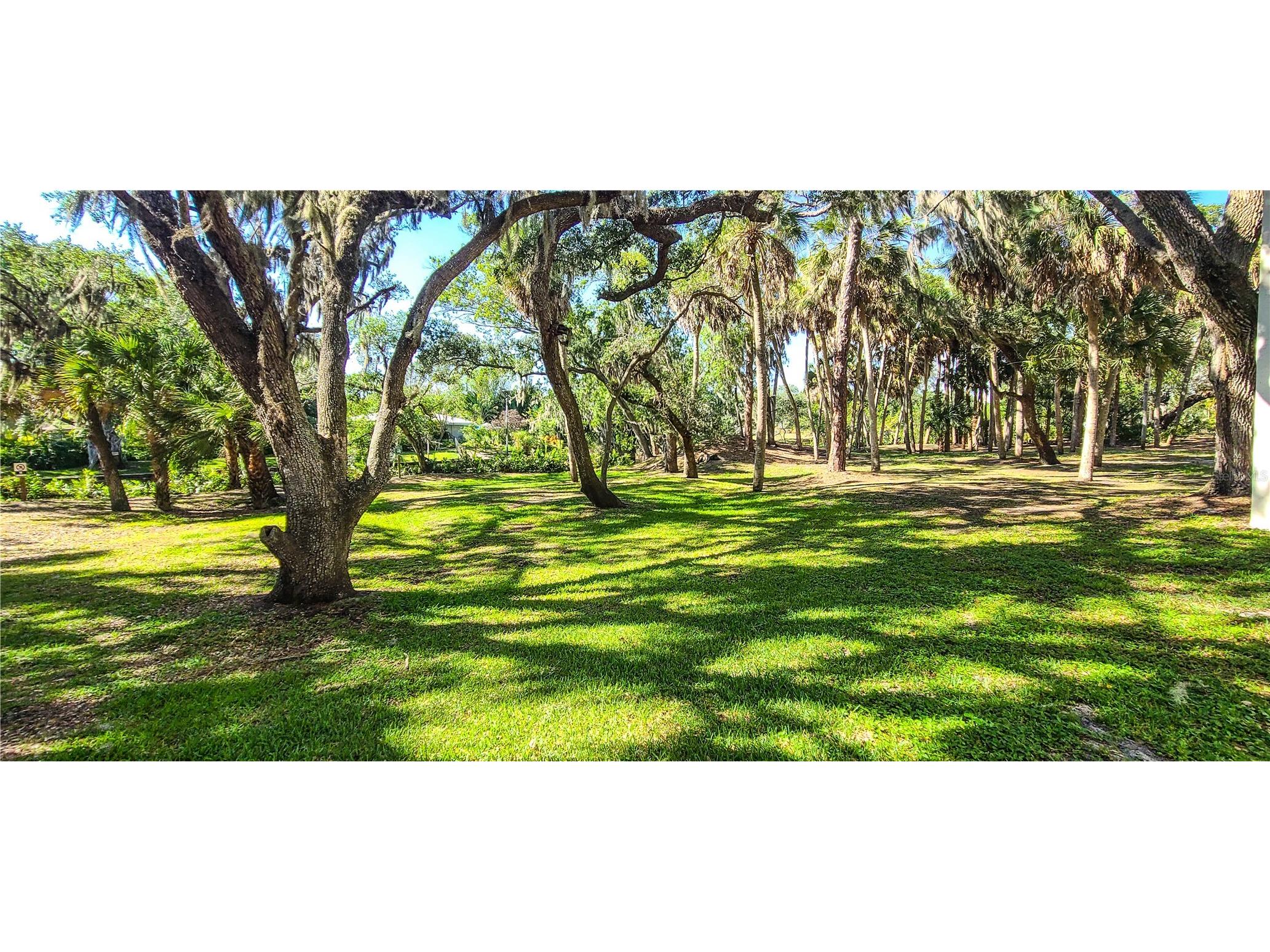 2749 Orchid Oaks Drive #302 Sarasota FL 34239 - PHILLIPPI CREEK A4690743 image42