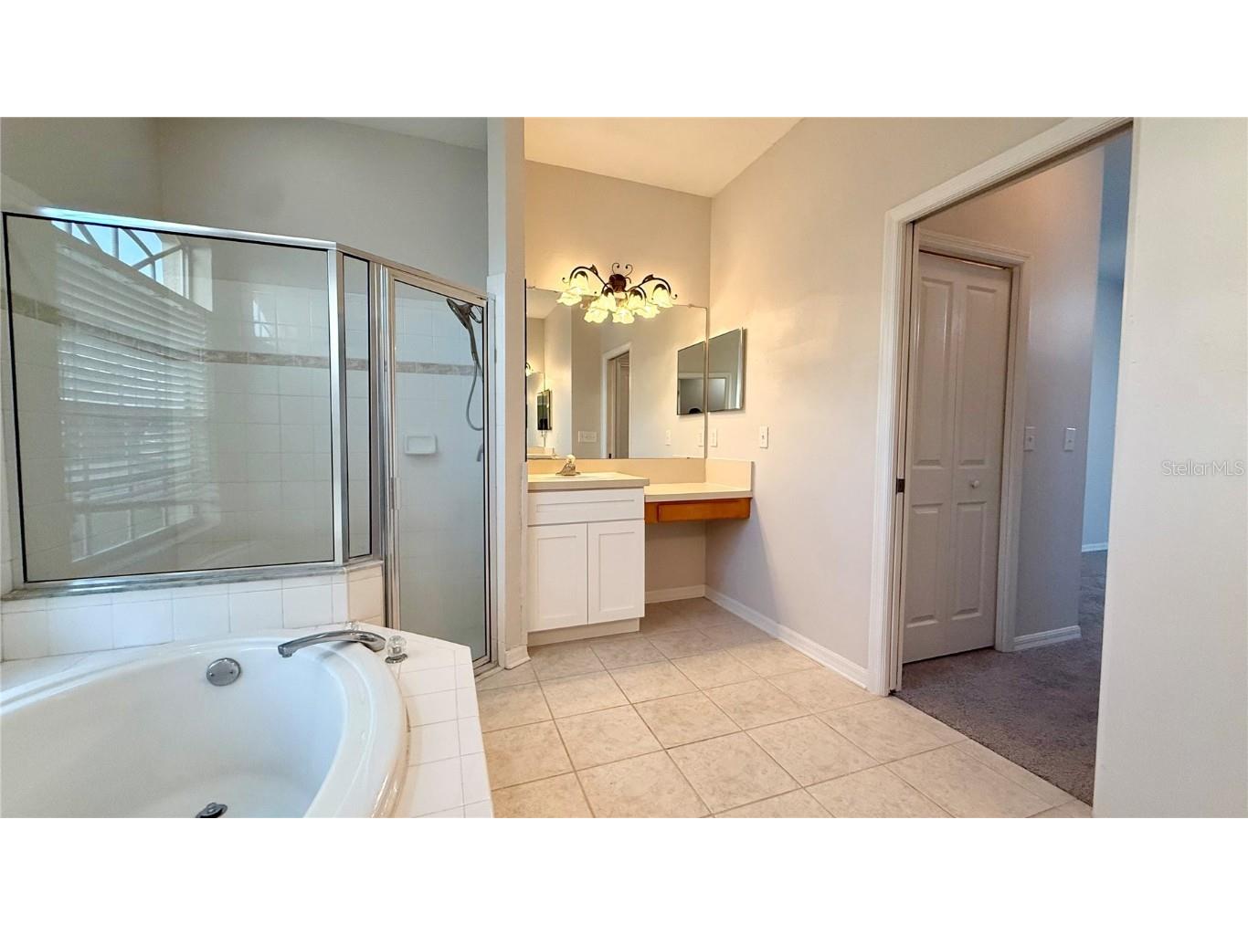 2749 Valencia Grove Drive Valrico FL 33596 TB8461650 image10