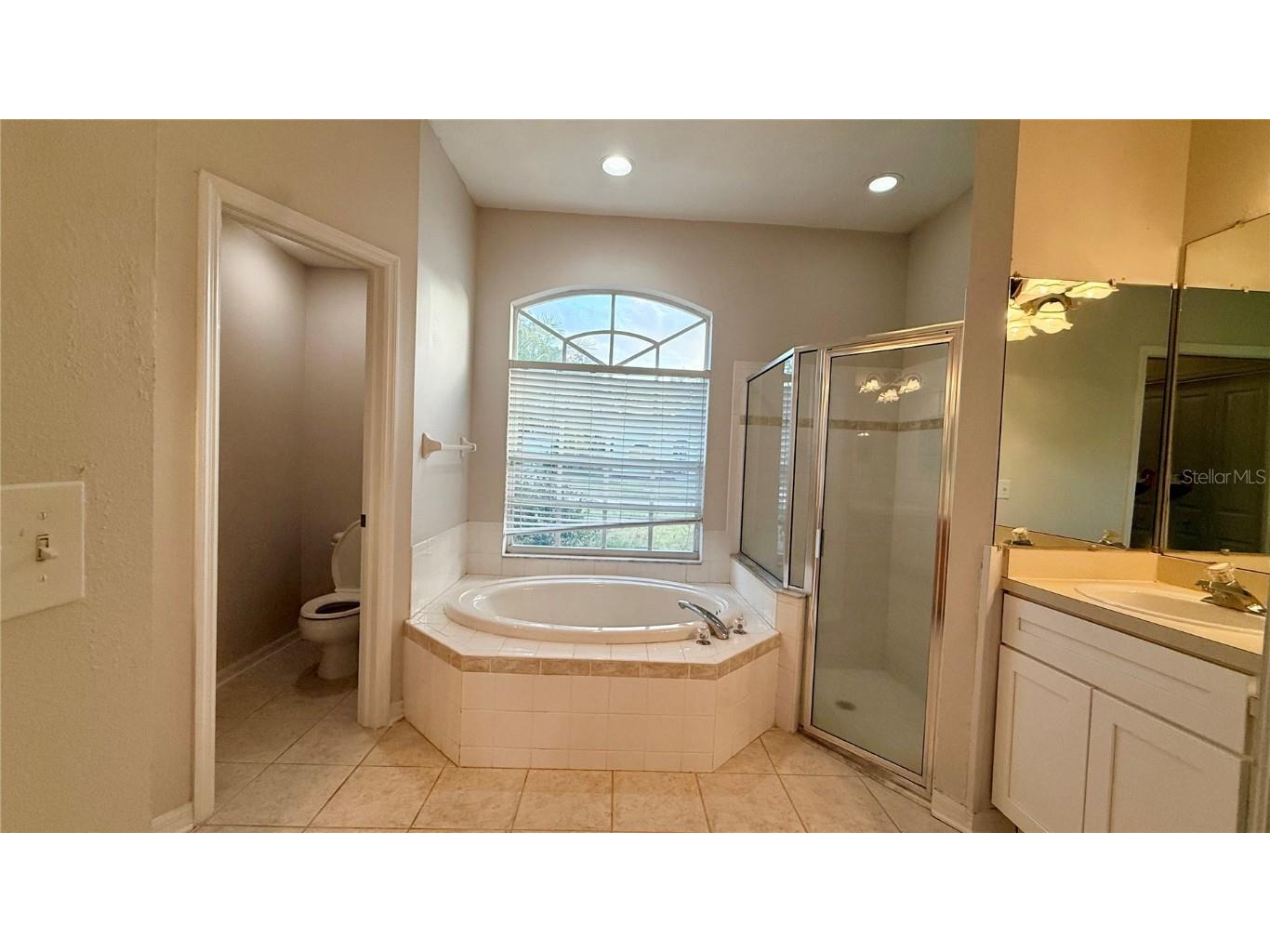 2749 Valencia Grove Drive Valrico FL 33596 TB8461650 image9