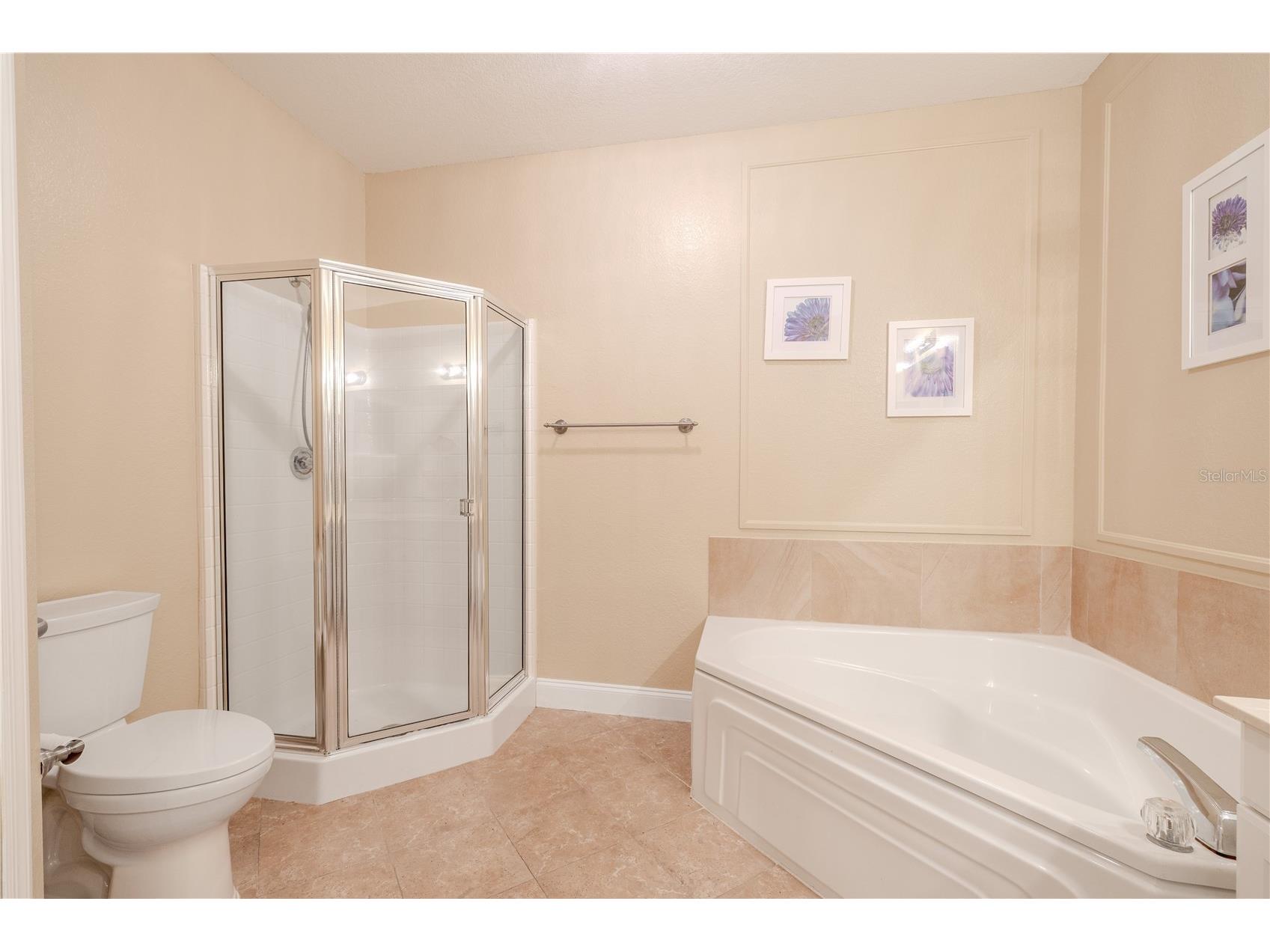 2749 Via Cipriani #1010B Clearwater FL 33764 TB8468628 image32