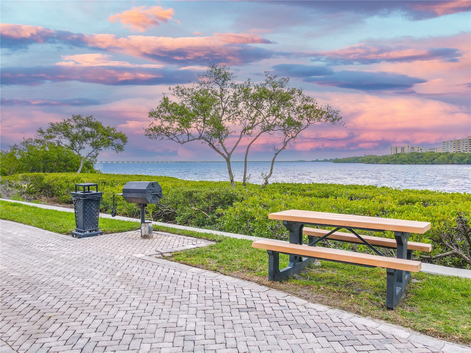 2749 Via Cipriani #1010B Clearwater FL 33764 TB8468628 image40