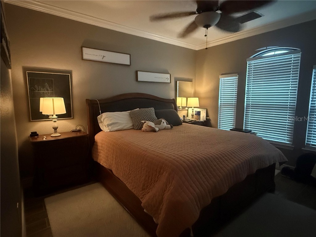 2749 Via Cipriani #1031B Clearwater FL 33764 TB8453622 image13