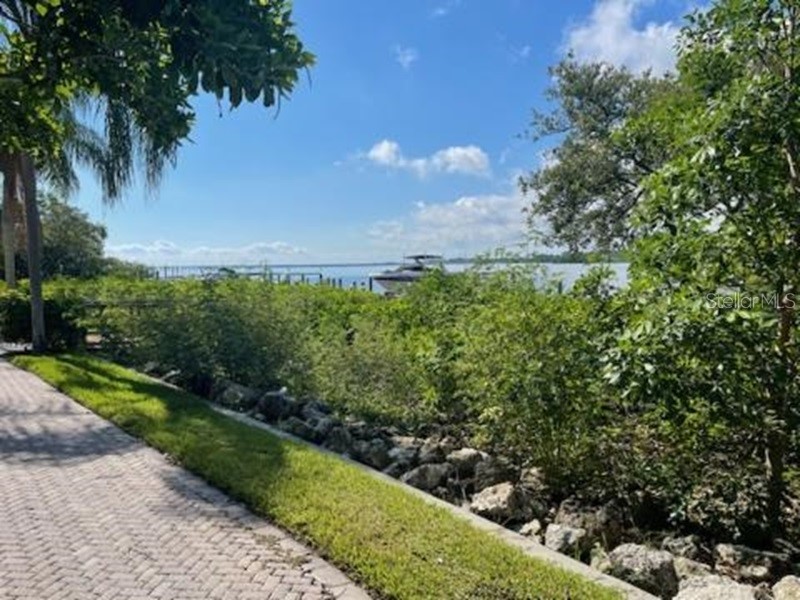 2749 Via Cipriani #1031B Clearwater FL 33764 TB8453622 image16