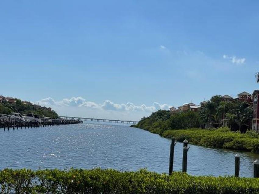 2749 Via Cipriani #1031B Clearwater FL 33764 TB8453622 image17