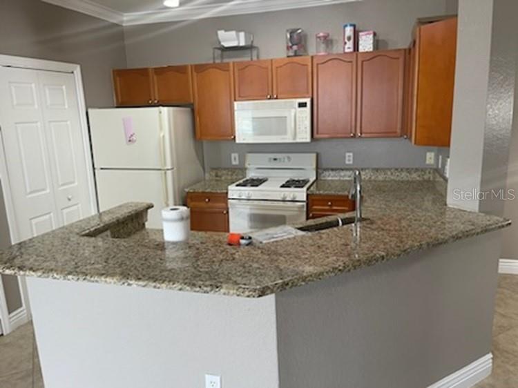 2749 Via Cipriani #1031B Clearwater FL 33764 TB8453622 image3