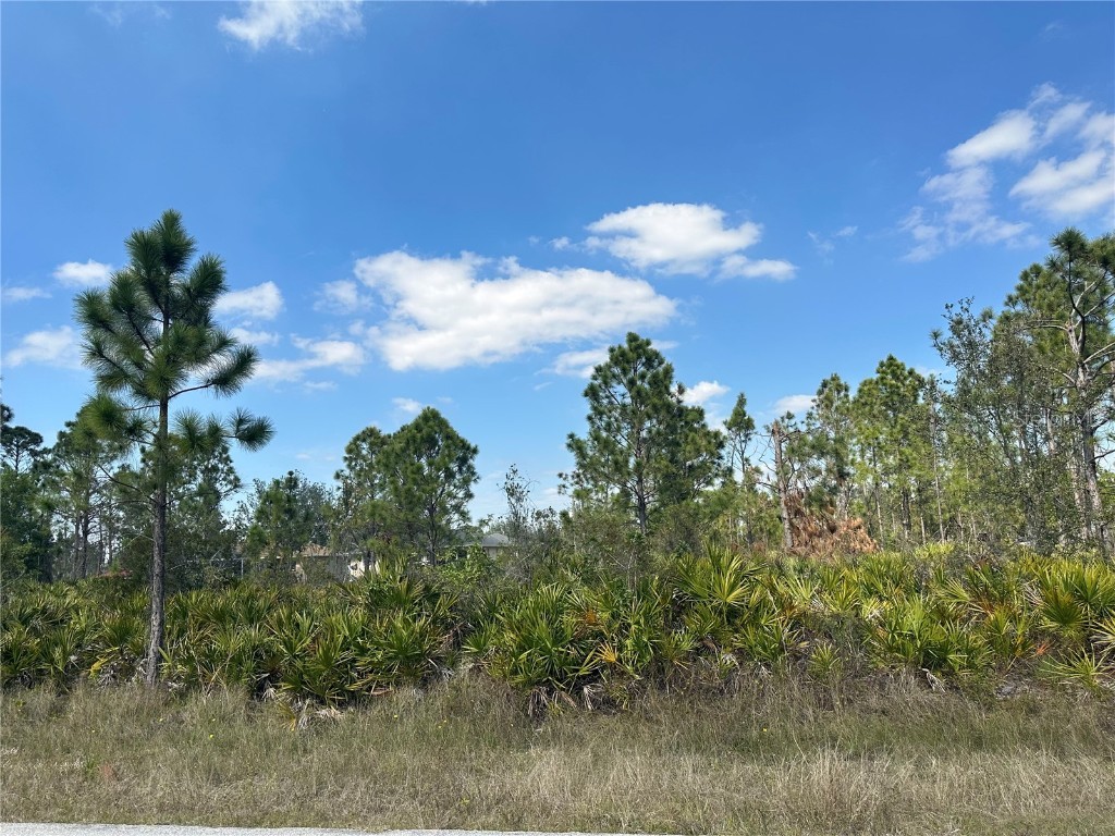 27490 Pasadena Drive Punta Gorda FL 33955 A4562319 image1