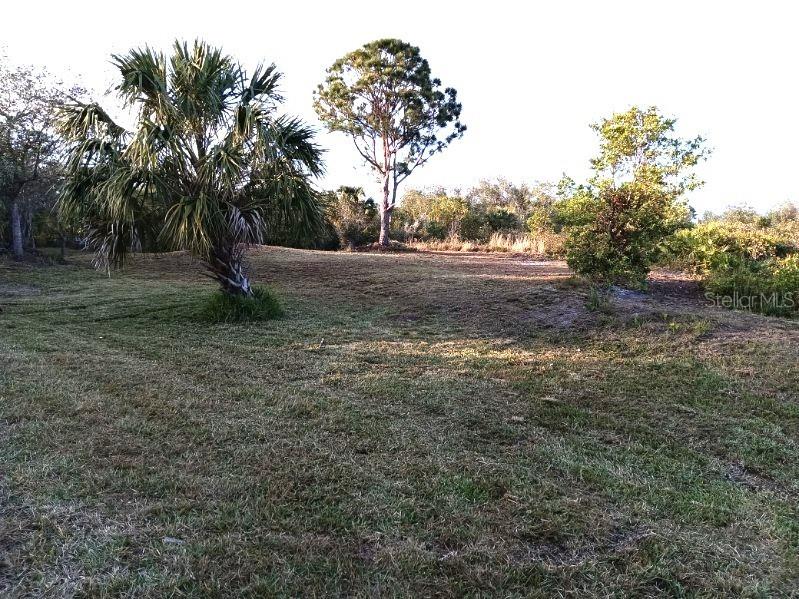 27498 Neaptide Drive Punta Gorda FL 33983 D6146467 image5