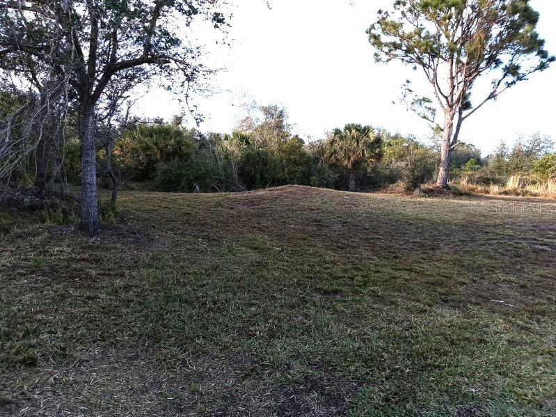 27498 Neaptide Drive Punta Gorda FL 33983 D6146467 image6