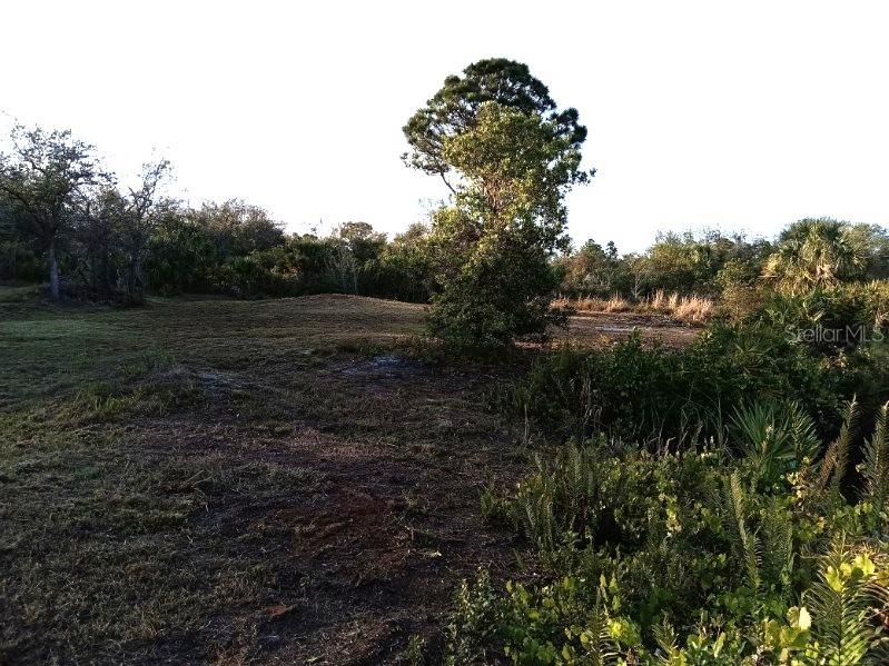 27498 Neaptide Drive Punta Gorda FL 33983 D6146467 image8