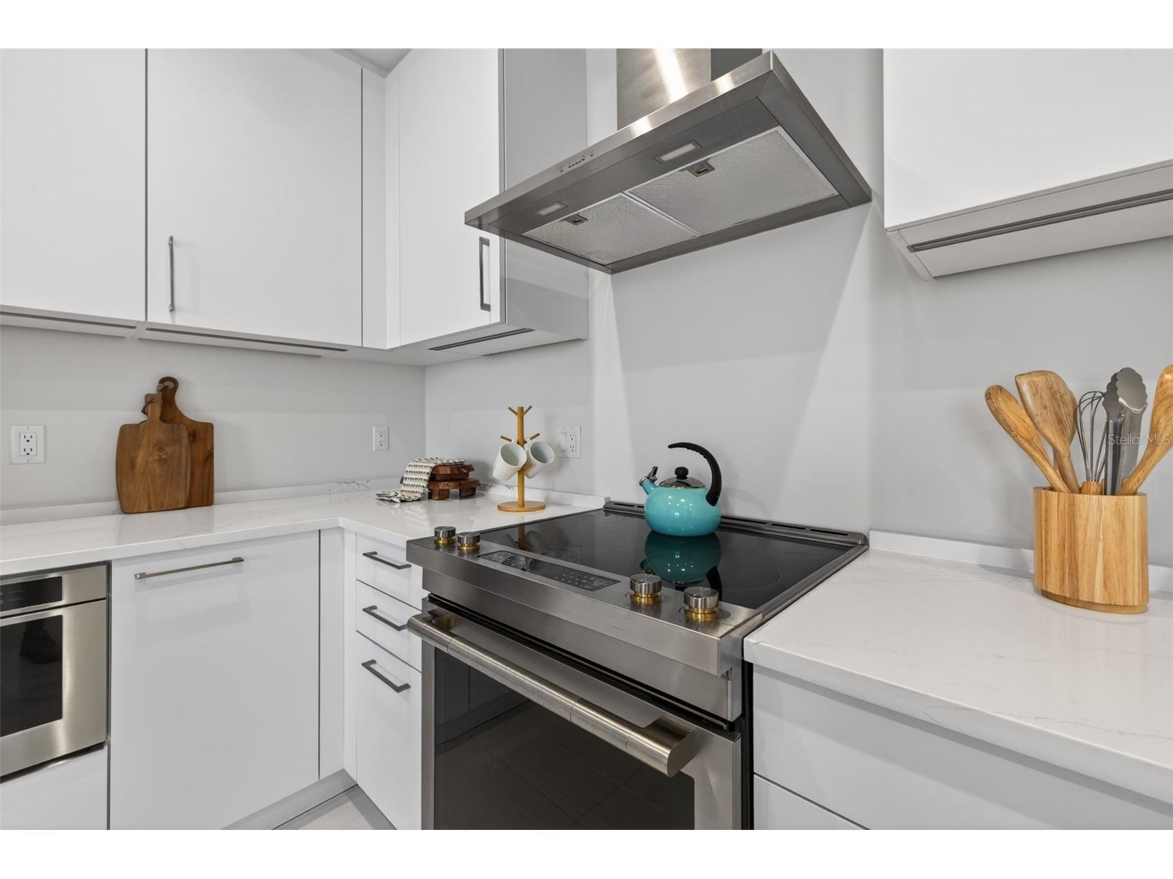 275 1st Ave S #1708 Saint Petersburg FL 33701 TB8459879 image4