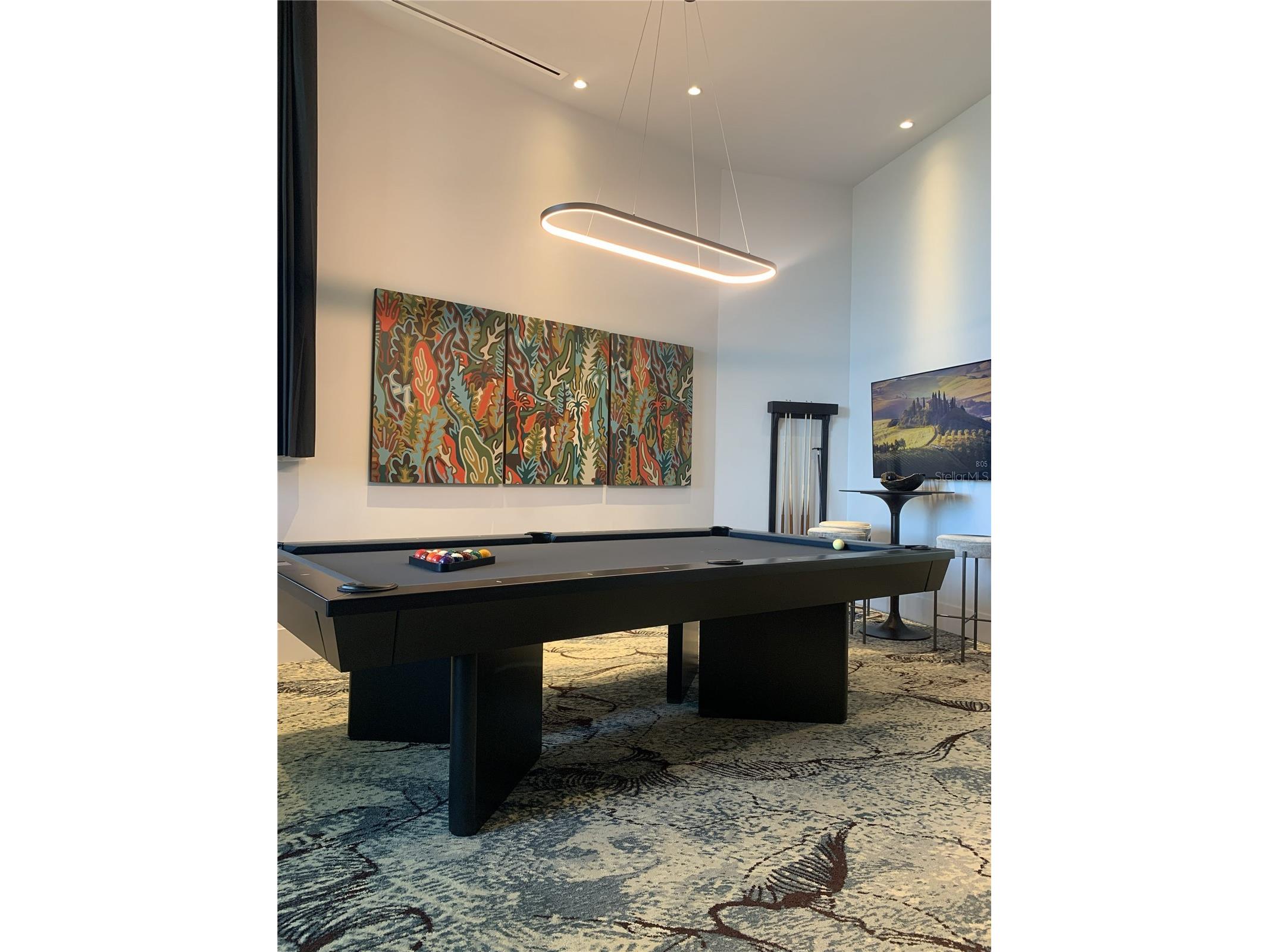 275 1st Ave S #2007 Saint Petersburg FL 33701 TB8478630 image26