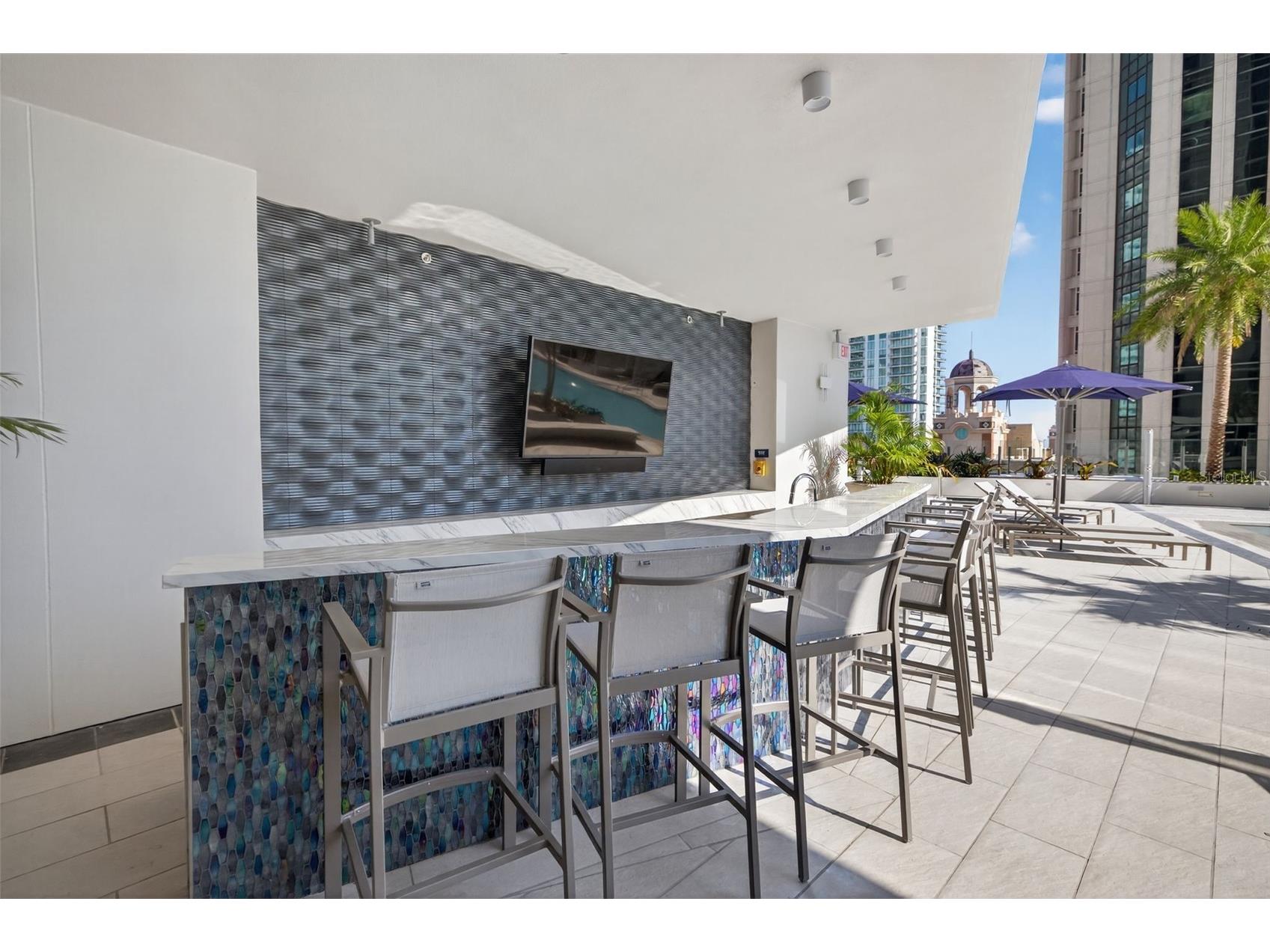 275 1st Ave S #2706 Saint Petersburg FL 33701 TB8517699 image95