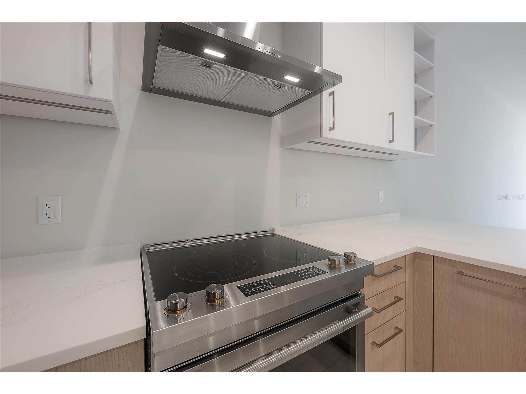 275 1st Avenue S #1504 Saint Petersburg FL 33701 TB8465694 image14