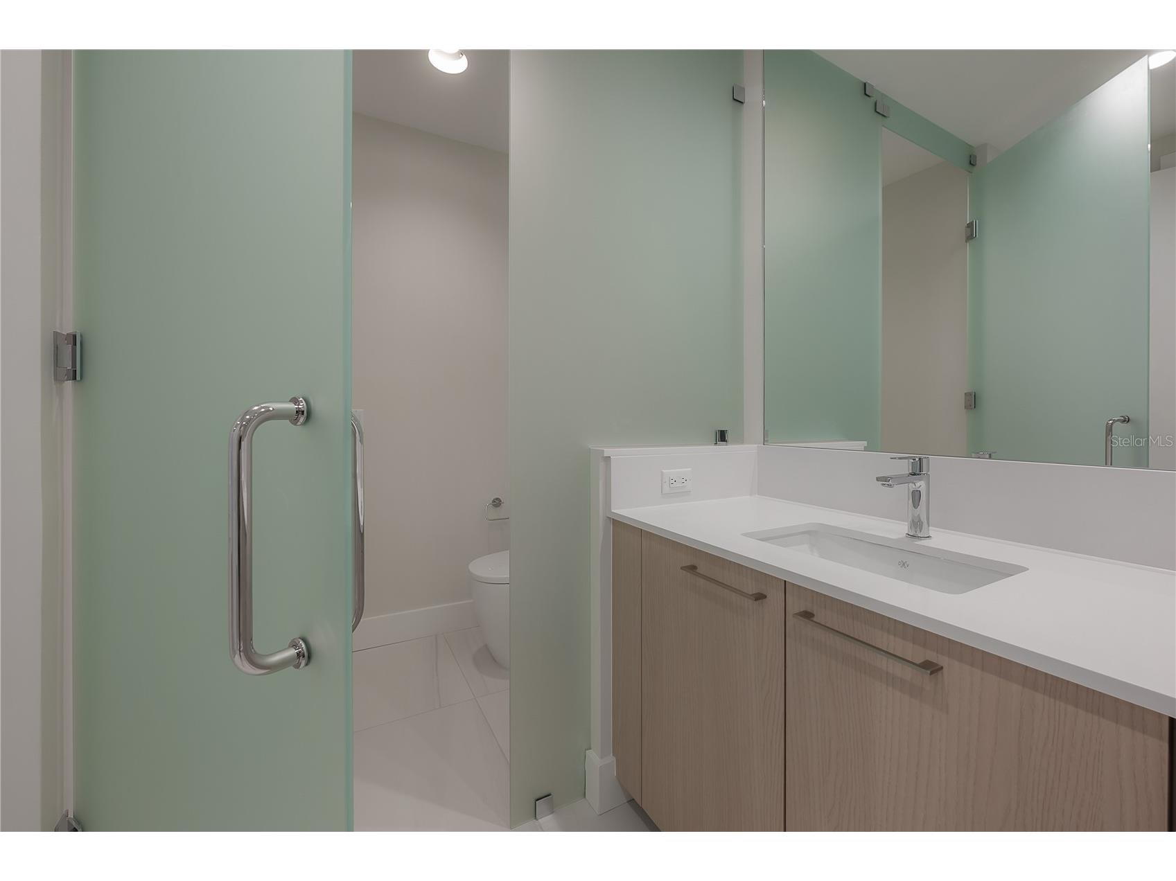 275 1st Avenue S #1504 Saint Petersburg FL 33701 TB8465694 image41