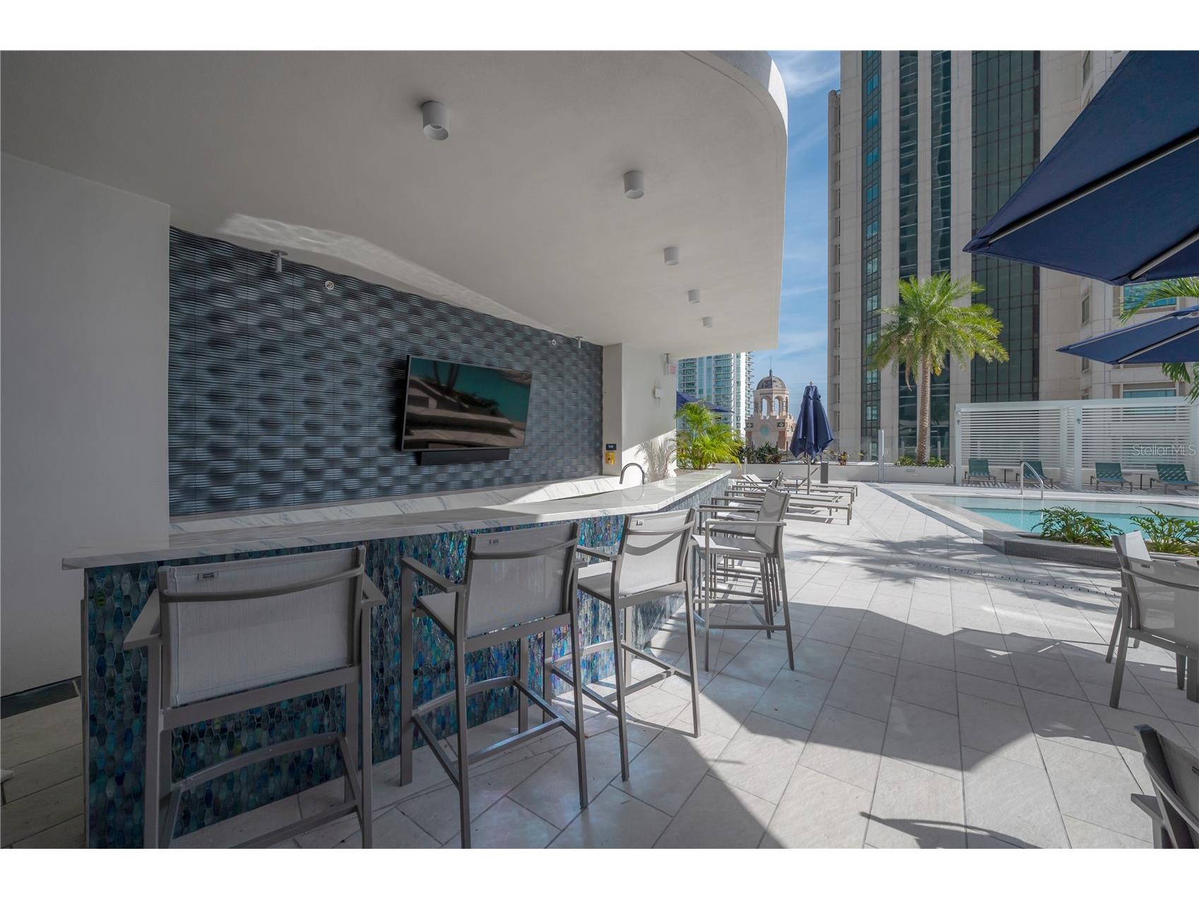 275 1st Avenue S #1504 Saint Petersburg FL 33701 TB8465694 image55