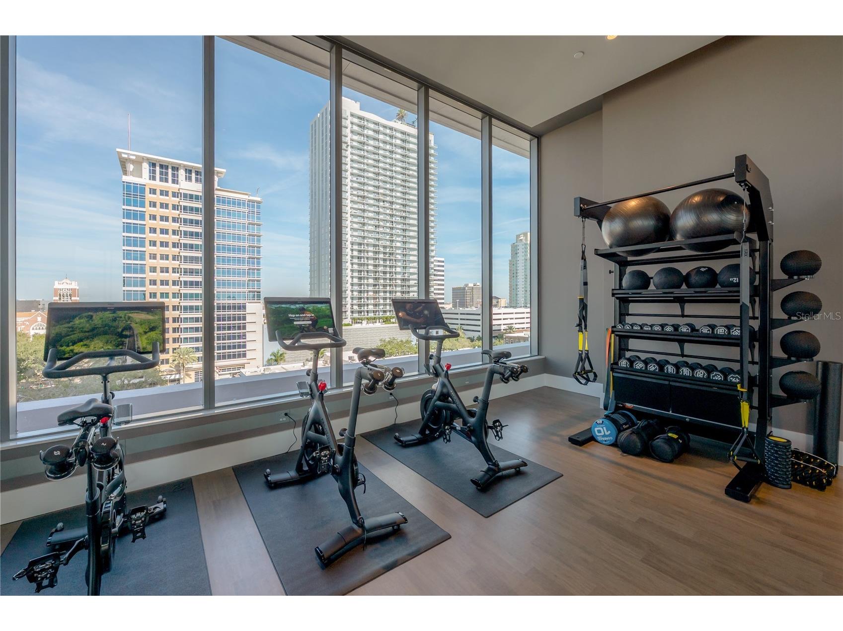 275 1st Avenue S #1504 Saint Petersburg FL 33701 TB8465694 image63