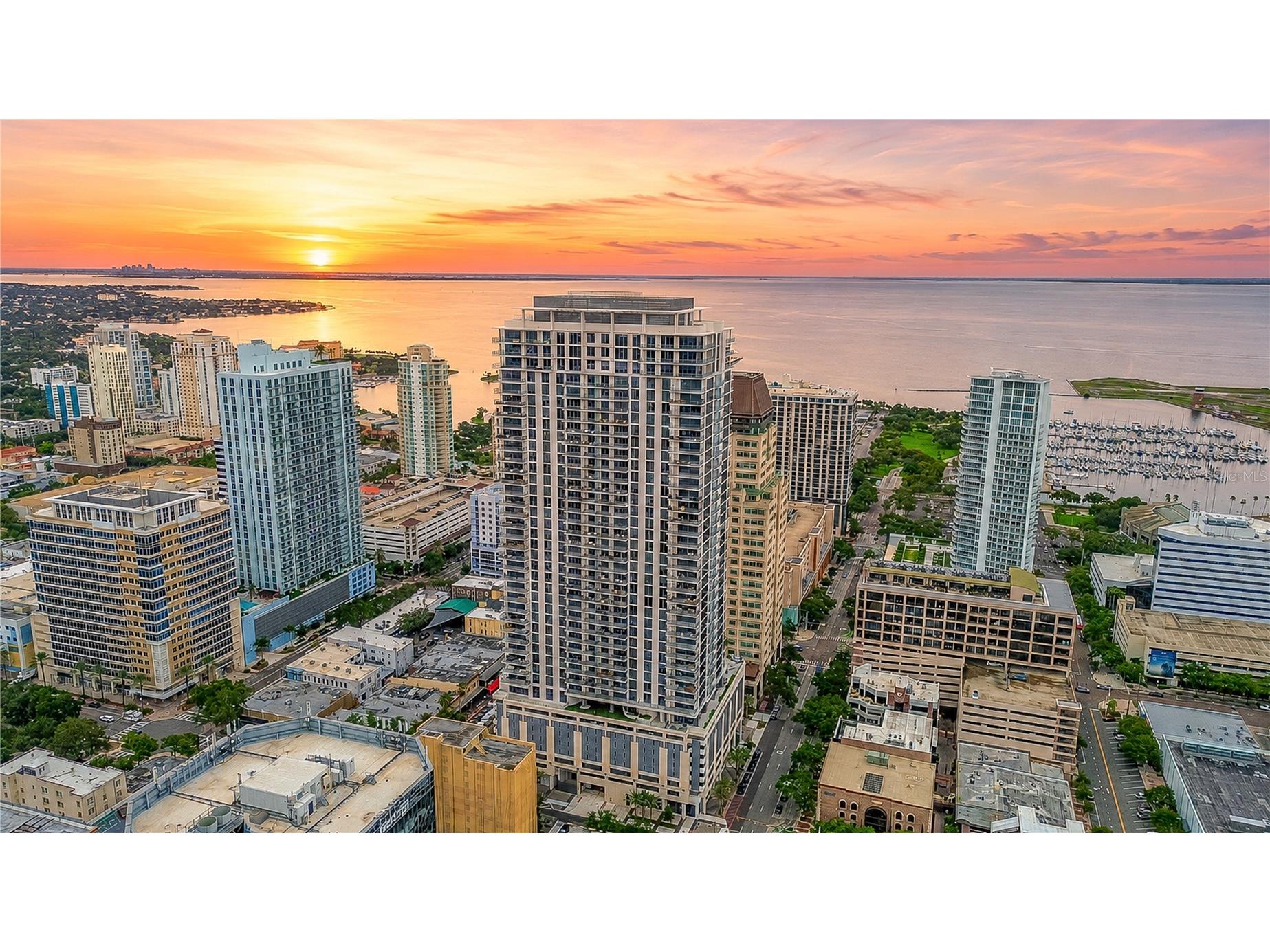 275 1st Avenue S #1504 Saint Petersburg FL 33701 TB8526390 image1