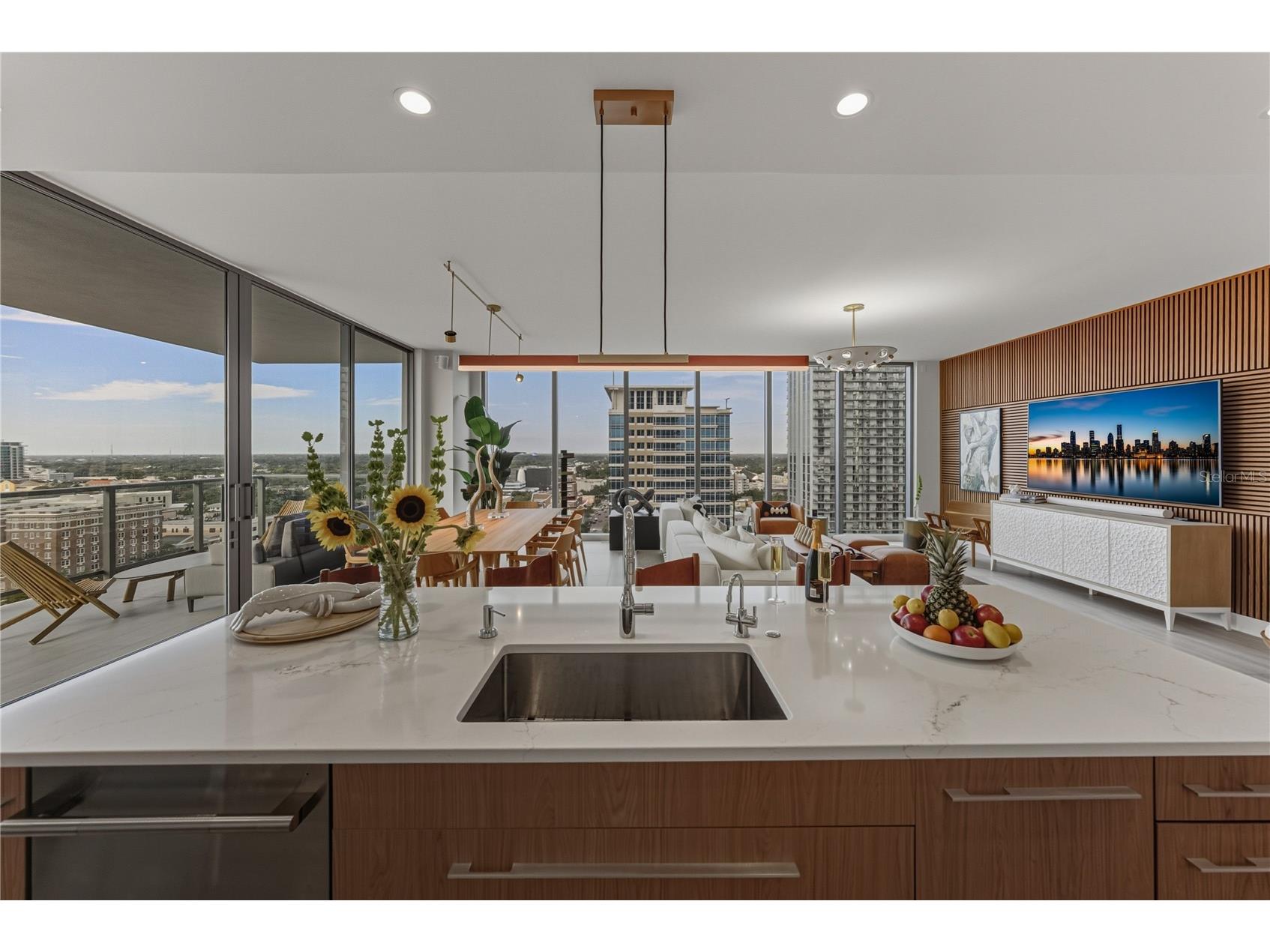 275 1st Avenue S #1701 Saint Petersburg FL 33701 TB8492368 image42