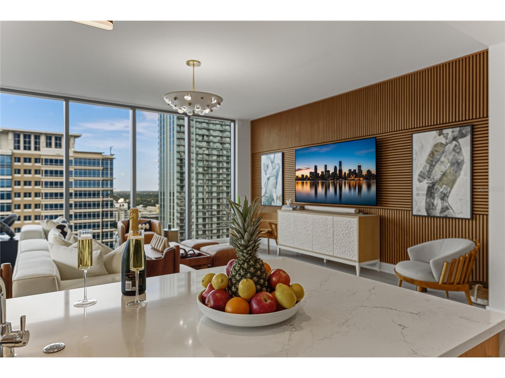 275 1st Avenue S #1701 Saint Petersburg FL 33701 TB8492368 image43