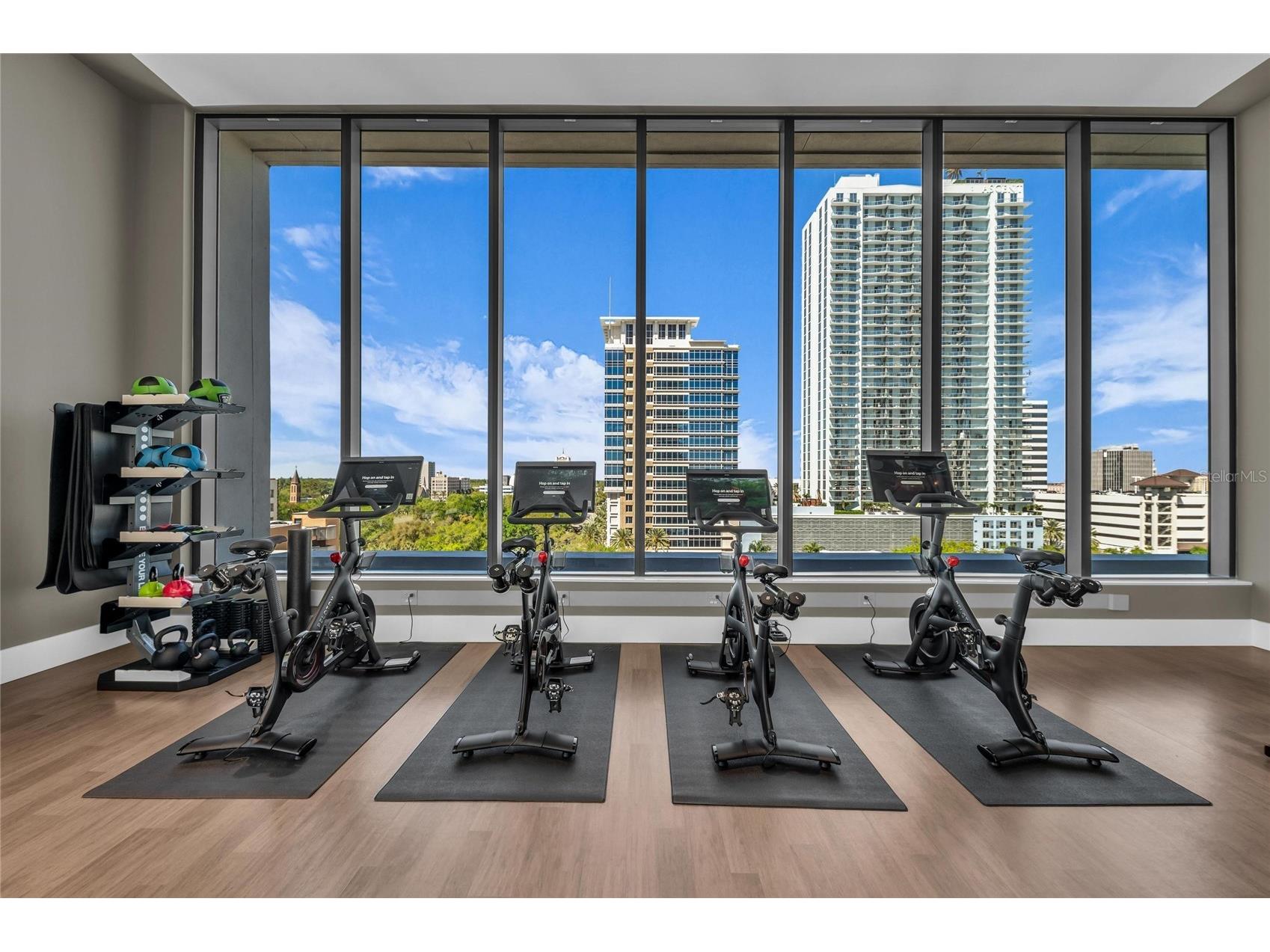 275 1st Avenue S #1904 Saint Petersburg FL 33701 A4687021 image45