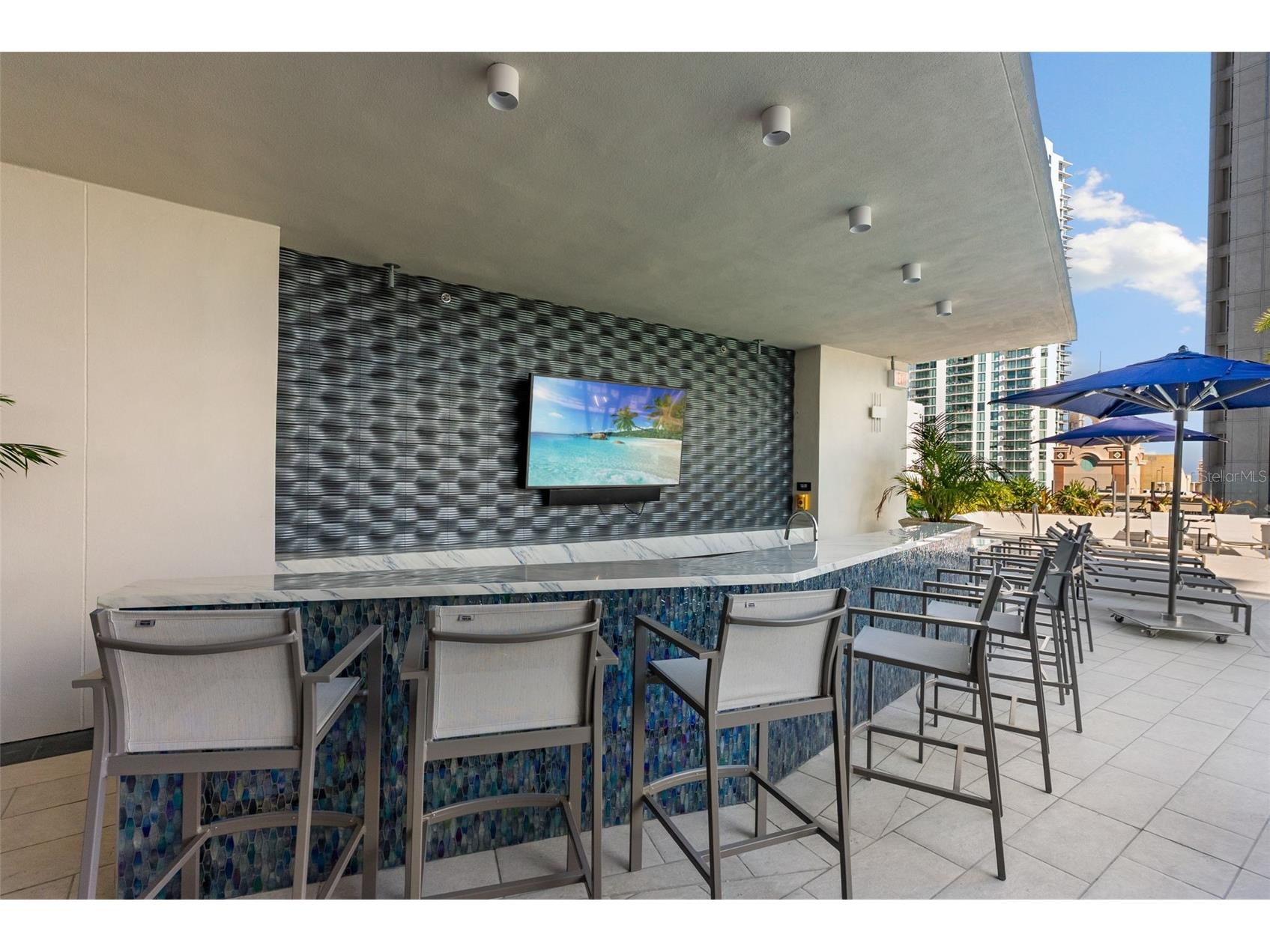 275 1st Avenue S #2308 Saint Petersburg FL 33701 TB8504870 image23