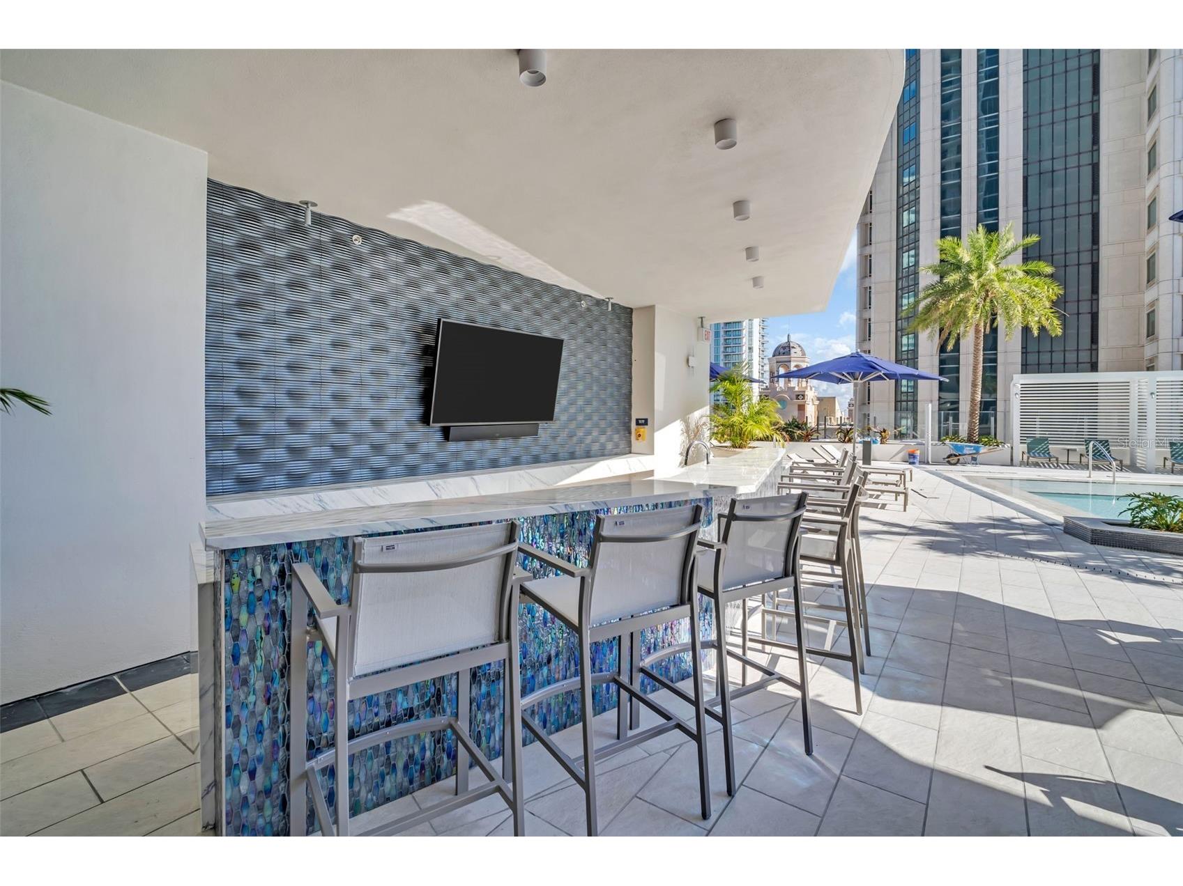 275 1st Avenue S #2807 Saint Petersburg FL 33701 TB8469347 image54