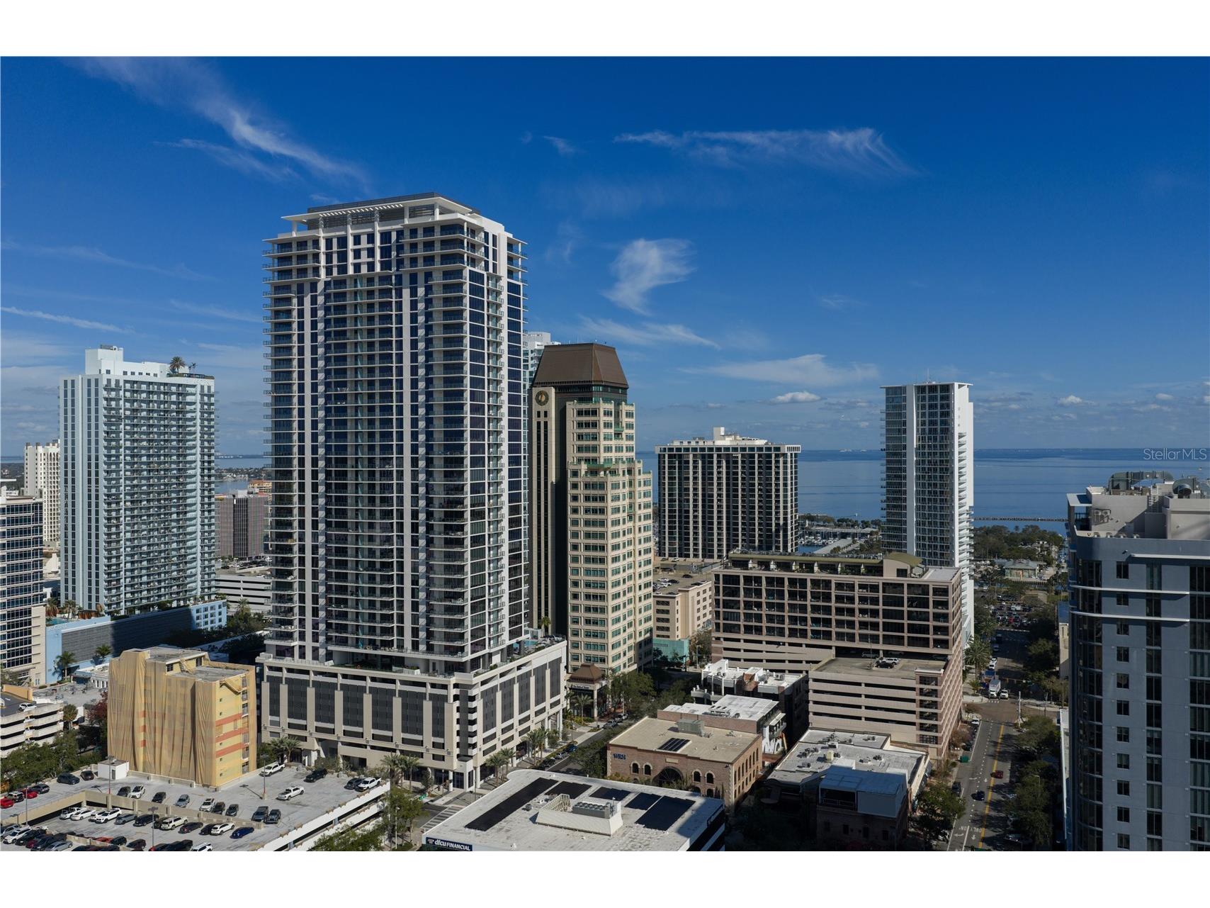 275 1st Avenue S #3603 Saint Petersburg FL 33701 TB8500759 image21