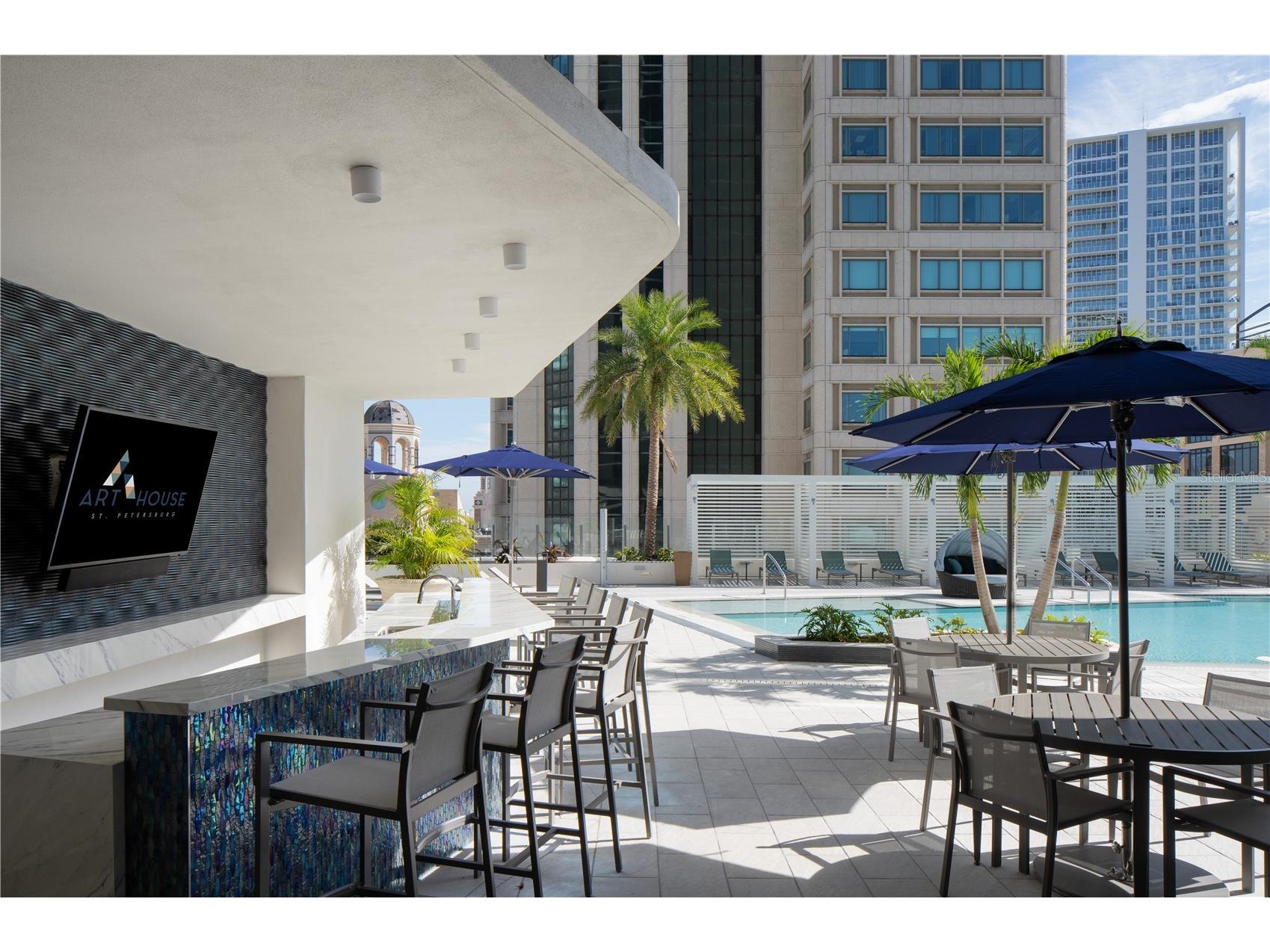 275 1st Avenue S #3603 Saint Petersburg FL 33701 TB8500759 image8