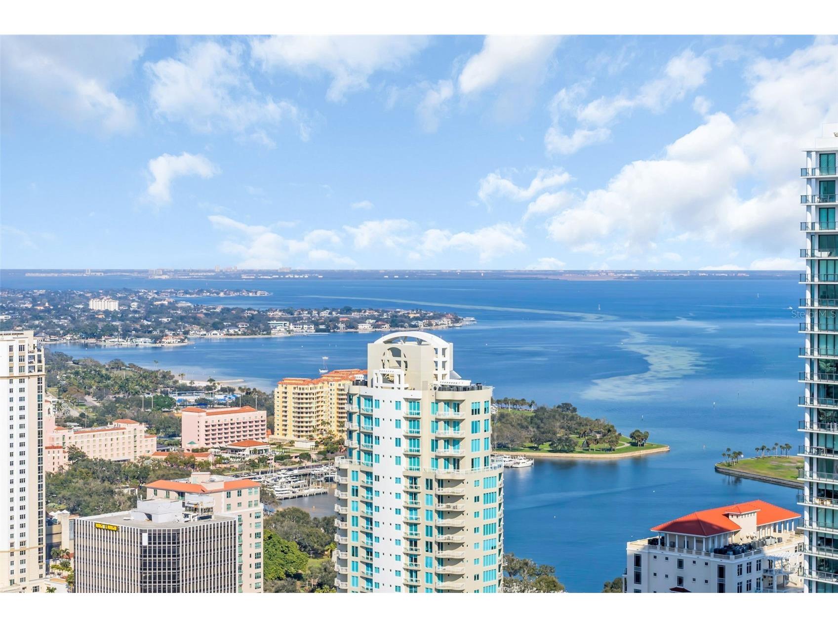 275 1st Avenue S #3703 Saint Petersburg FL 33701 TB8470511 image24