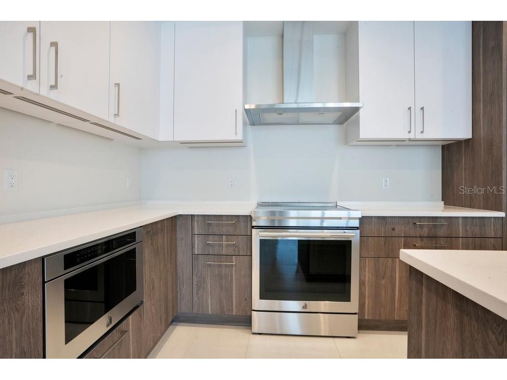 275 1st Avenue S #3808 Saint Petersburg FL 33701 O6404091 image10