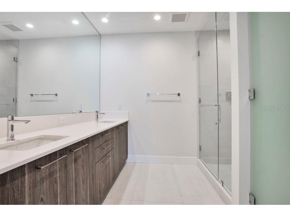 275 1st Avenue S #3808 Saint Petersburg FL 33701 O6404091 image39