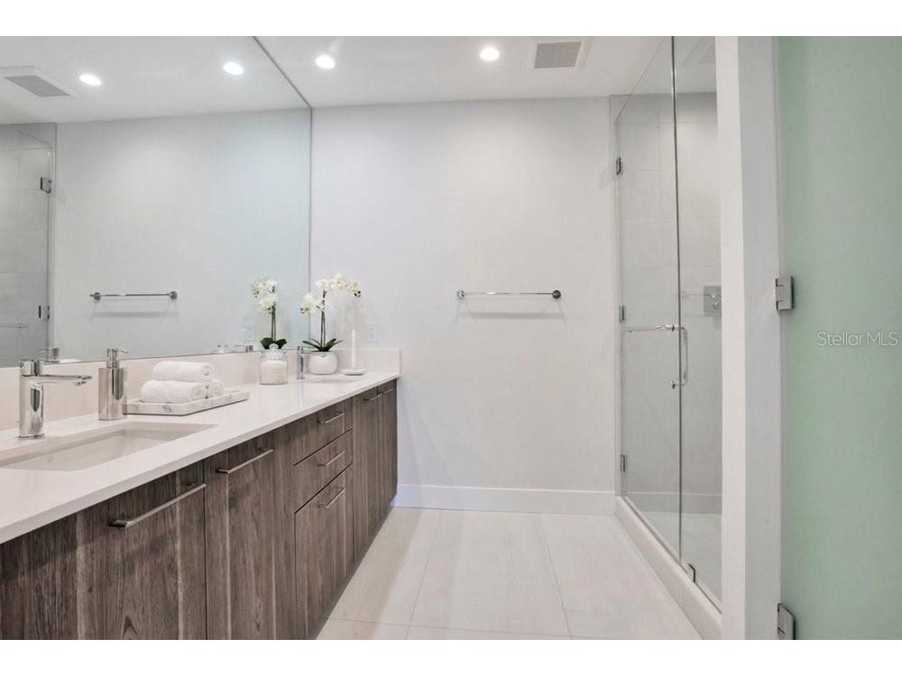 275 1st Avenue S #3808 Saint Petersburg FL 33701 O6404091 image40