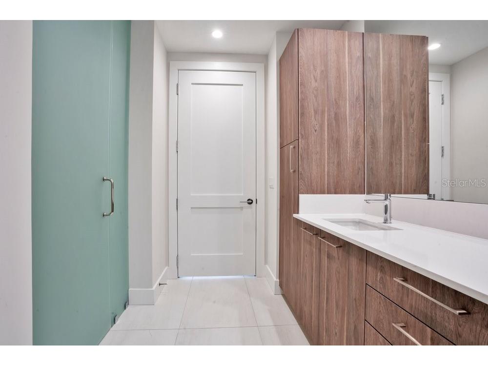 275 1st Avenue S #3808 Saint Petersburg FL 33701 O6404091 image42