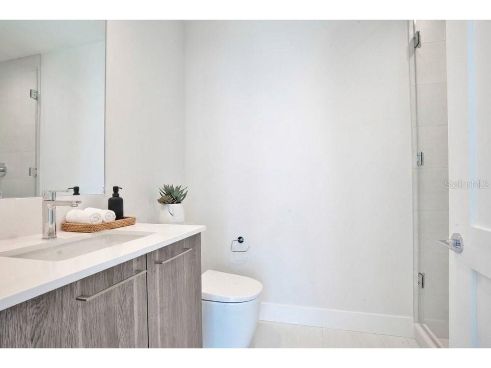 275 1st Avenue S #3808 Saint Petersburg FL 33701 O6404091 image49