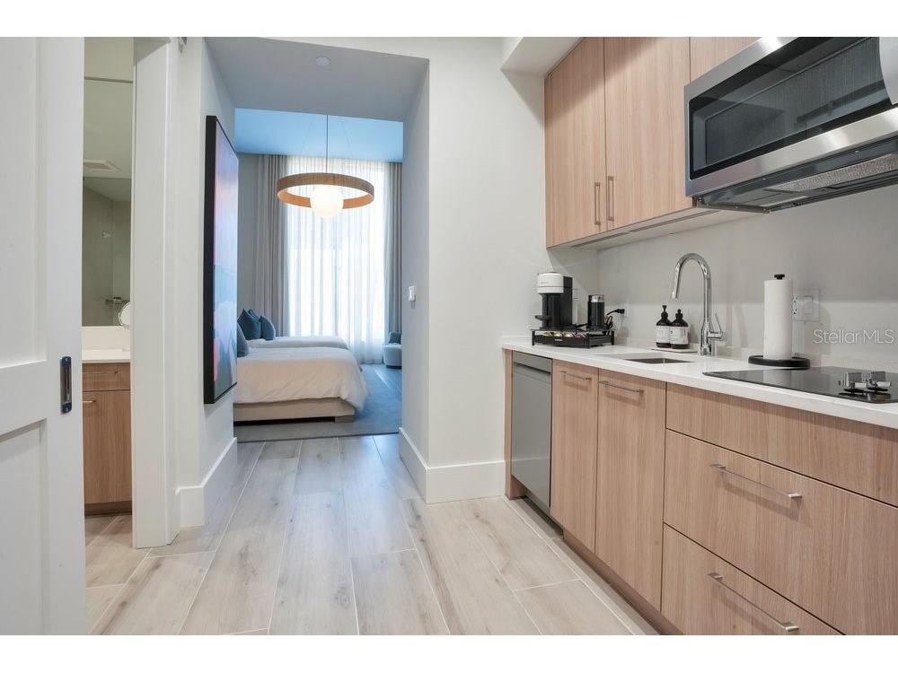 275 1st Avenue S #3808 Saint Petersburg FL 33701 O6404091 image66