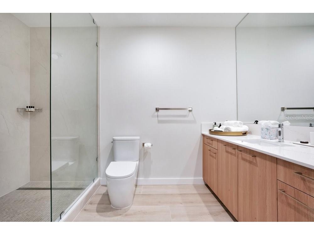 275 1st Avenue S #3808 Saint Petersburg FL 33701 O6404091 image69