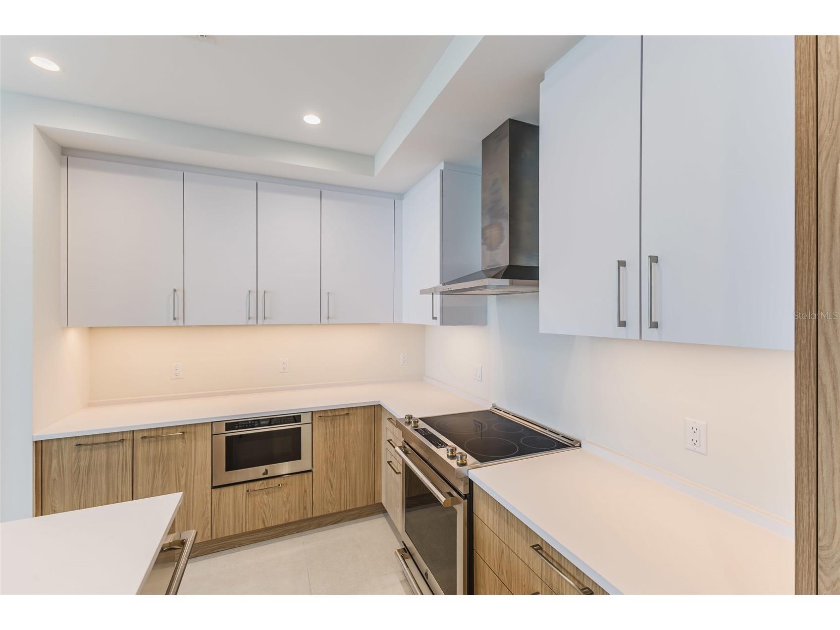 275 1st Avenue S #3908 Saint Petersburg FL 33701 A4697444 image10