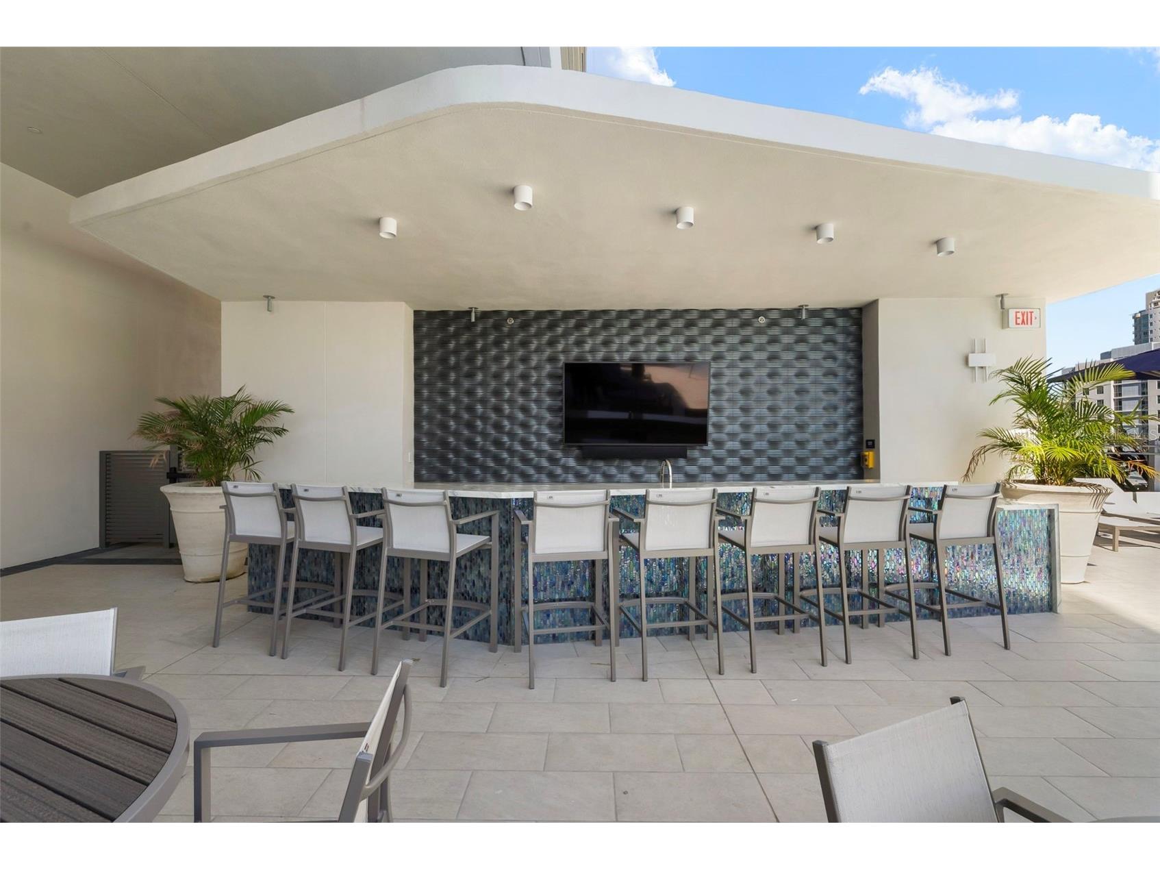 275 1st Avenue S #3908 Saint Petersburg FL 33701 TB8479116 image26