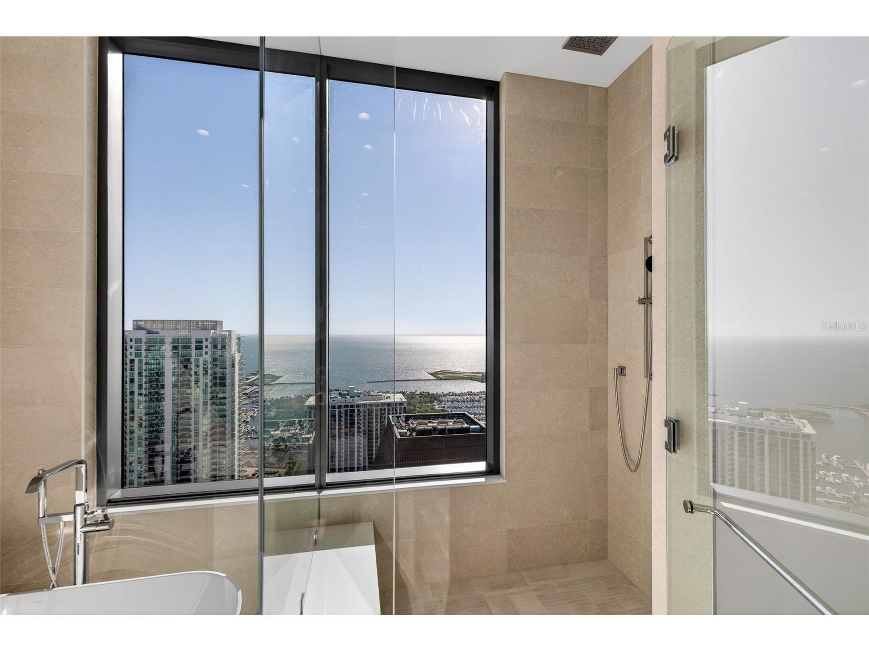 275 1st Avenue S #4202 Saint Petersburg FL 33701 TB8490619 image37