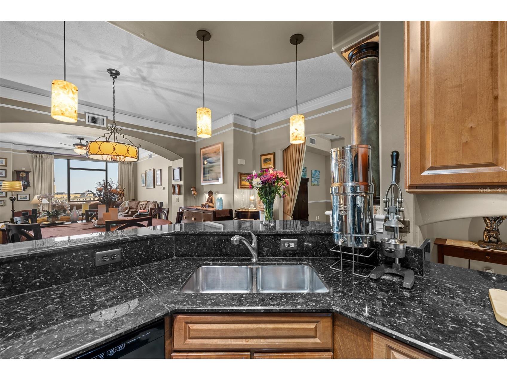 275 Bayshore Boulevard #1006 Tampa FL 33606 - HILLSBOROUGH BAY / RIVER TB8503561 image9